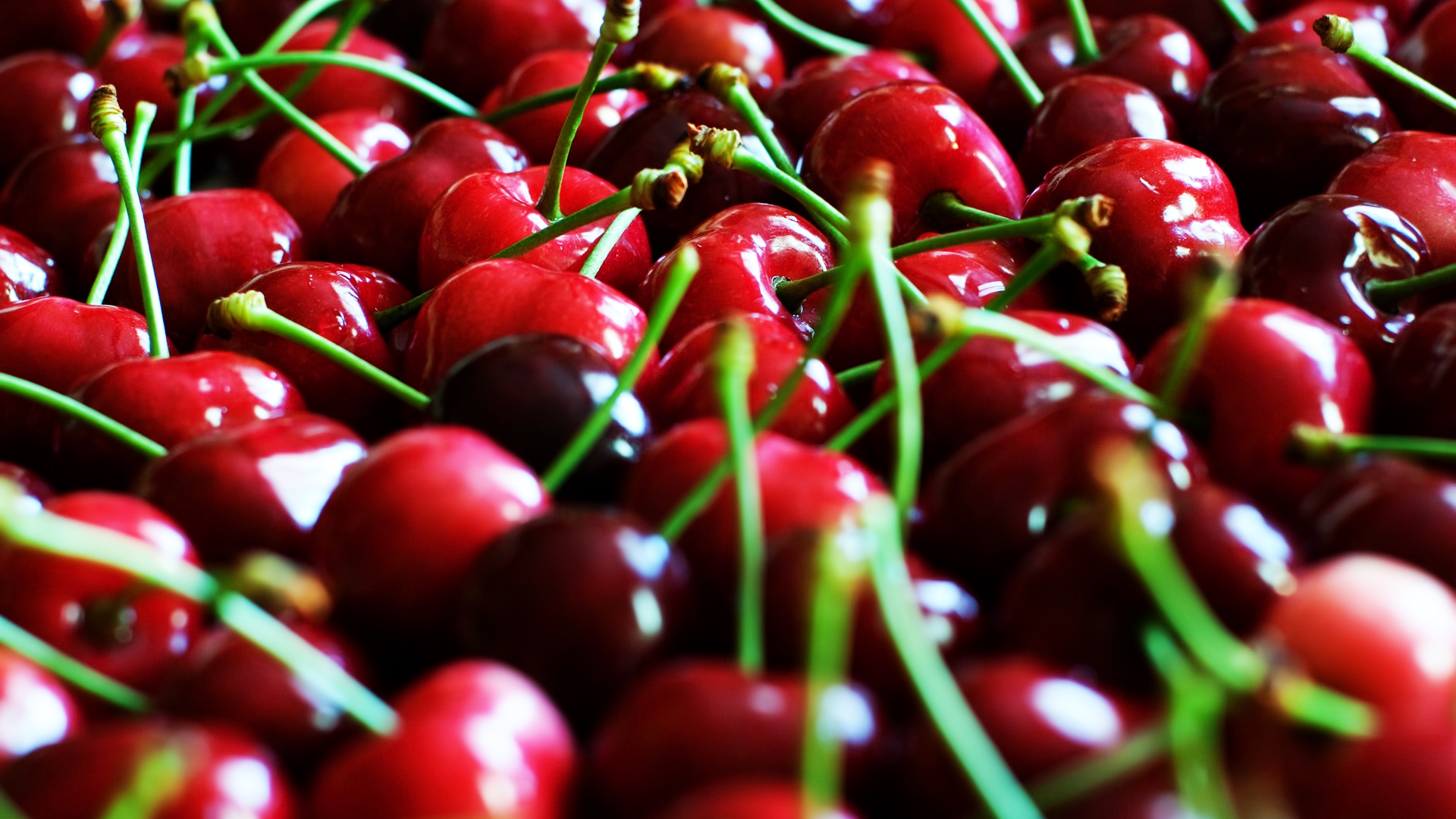 Cherry HD Desktop Wallpaper 17275
