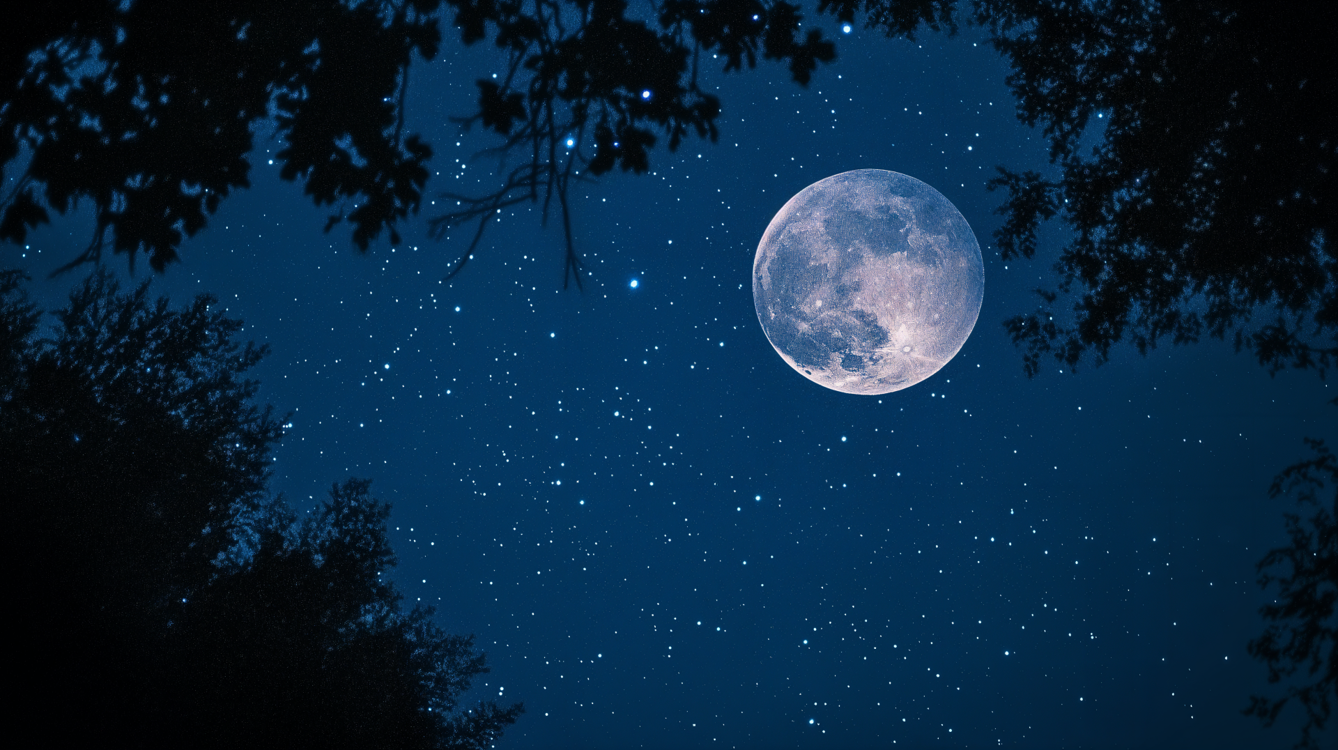Moonlit Sky: Stunning 4K Ultra HD Wallpaper