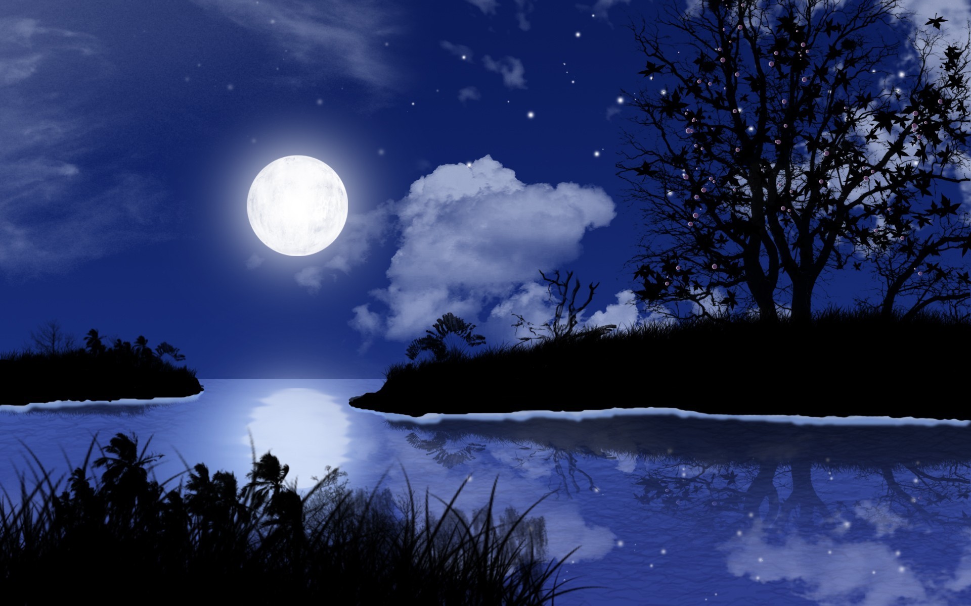 Full Moon Night Wallpaper 43757
