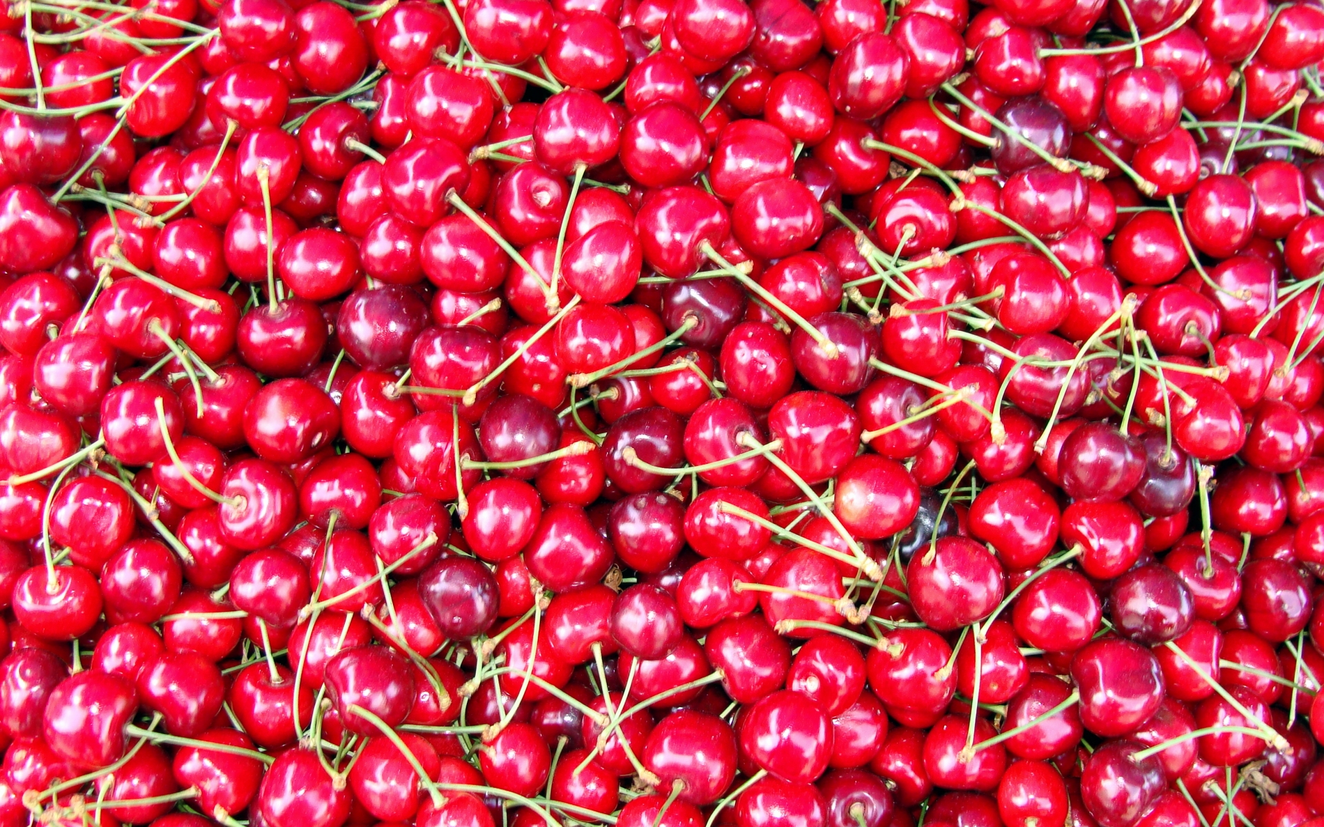 Cherry on Grid Wallpaper