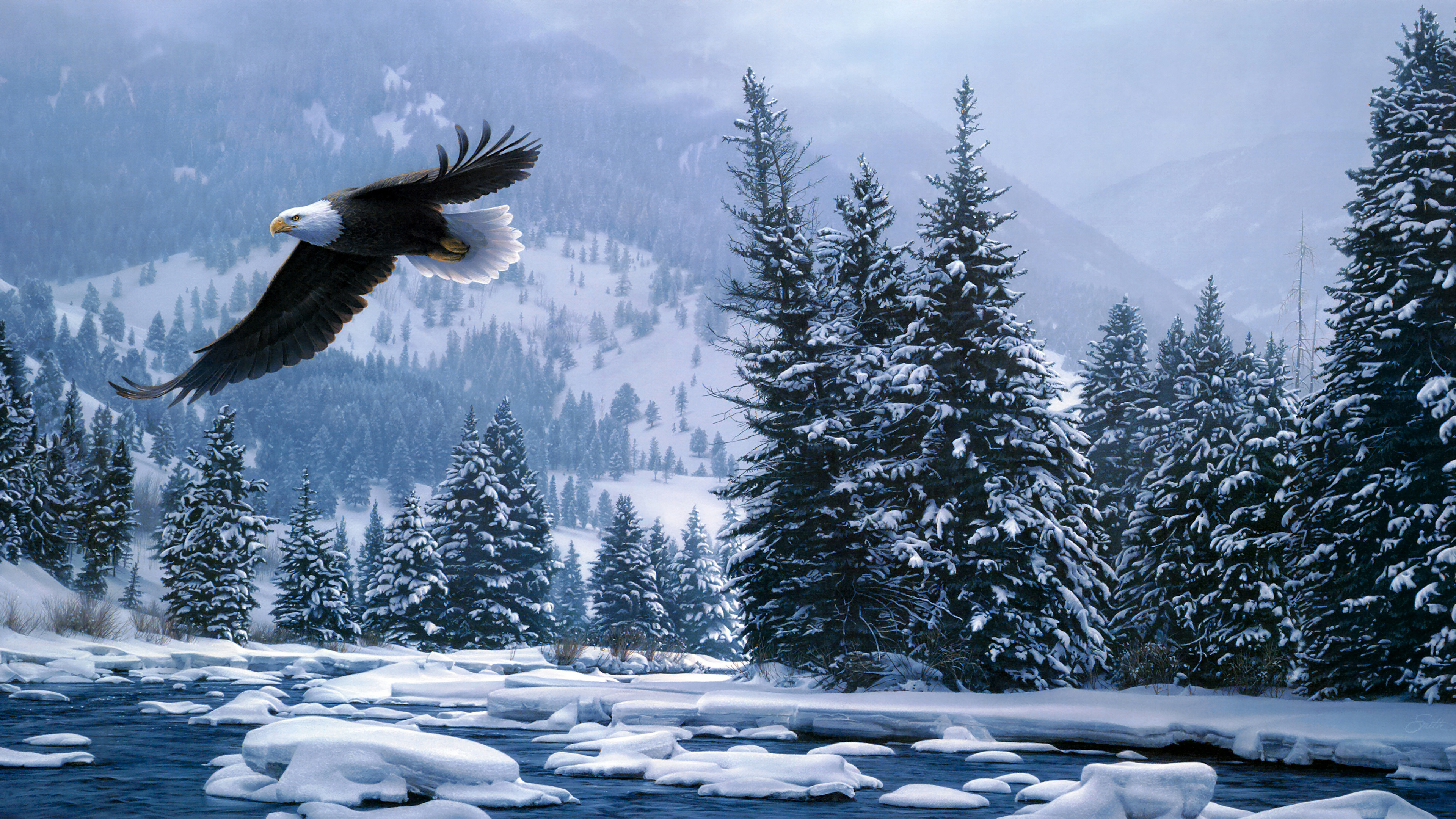 Flying Bald Eagle In Snow Covered Forest During Winter 4K HD Birds Wallpaper