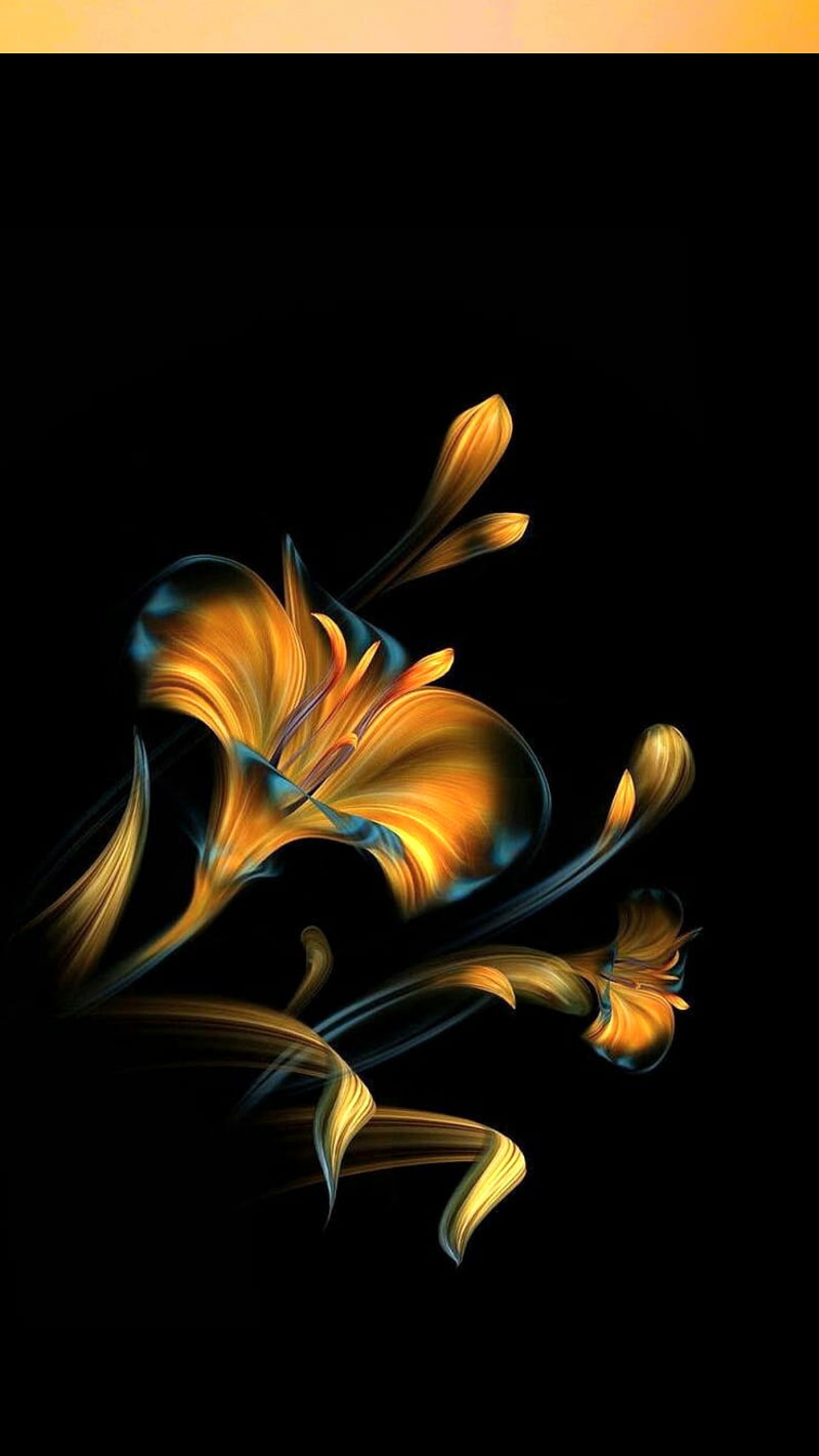 Gold And Black Flowers Blooming