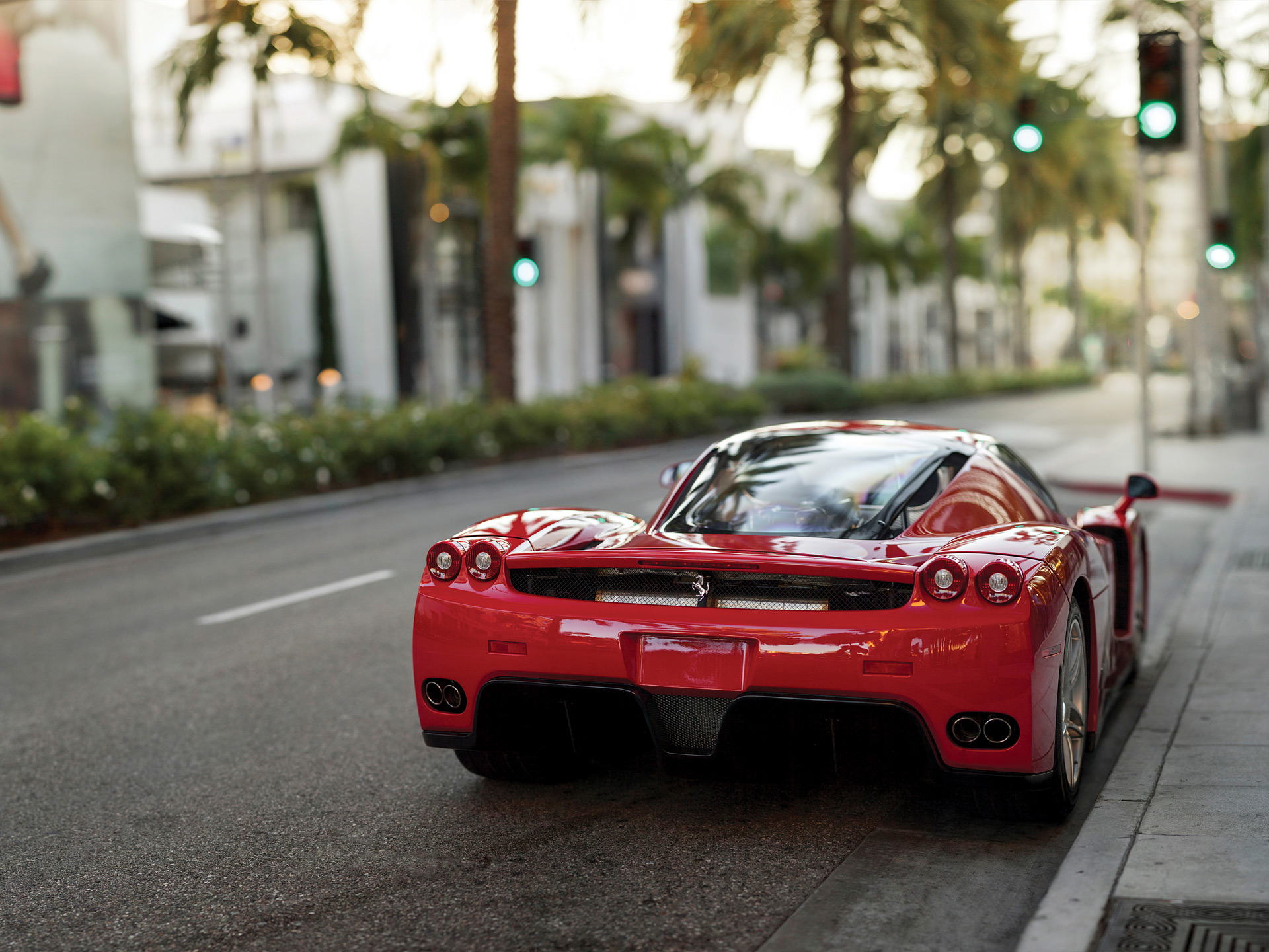 Ferrari Enzo Wallpaper