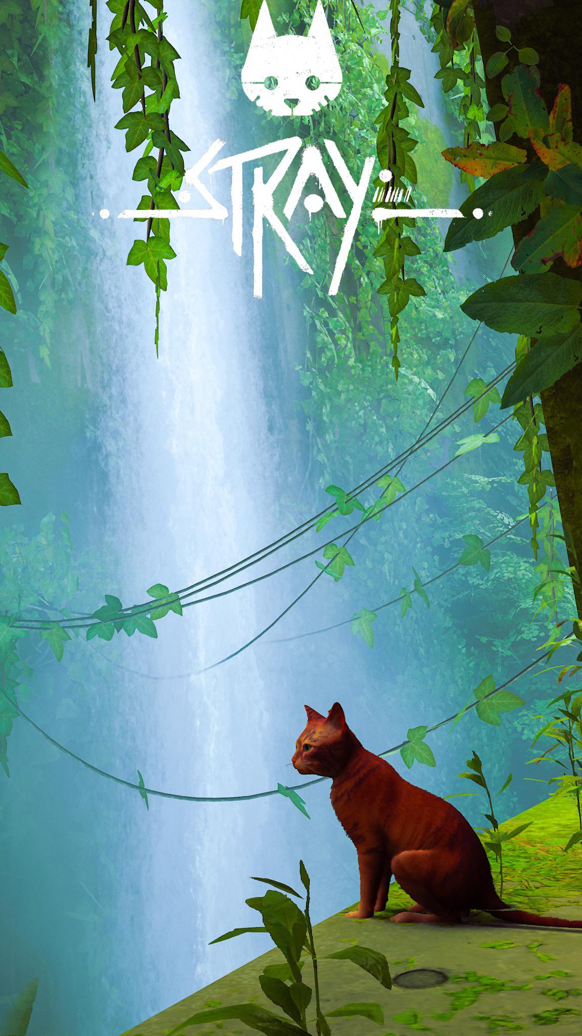 A few phone wallpaper