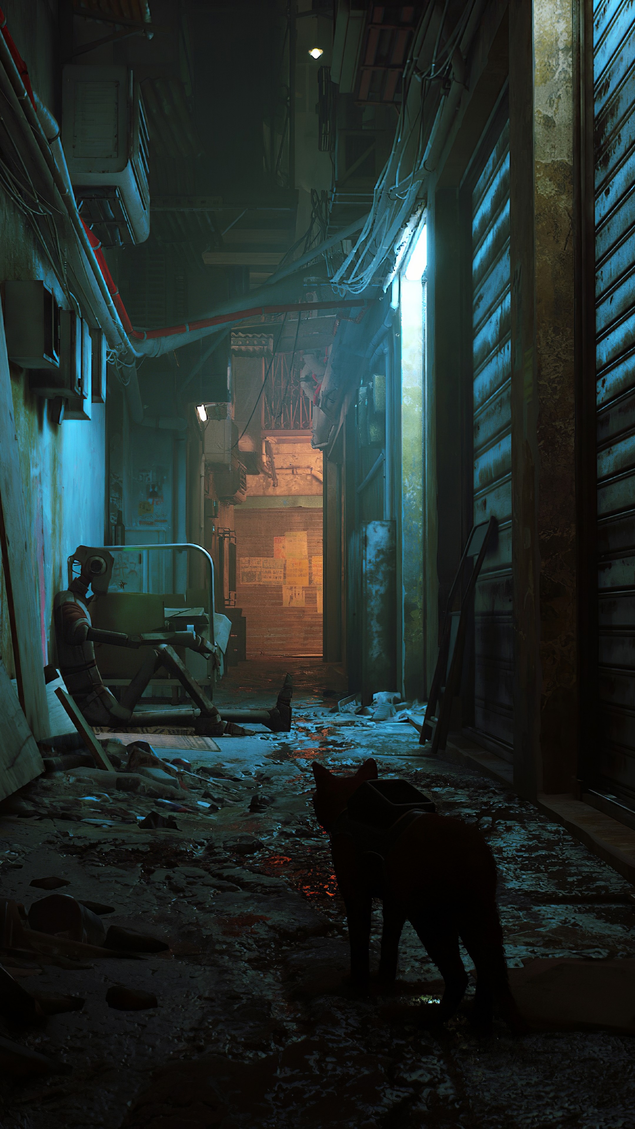 Stray (Game) Wallpaper