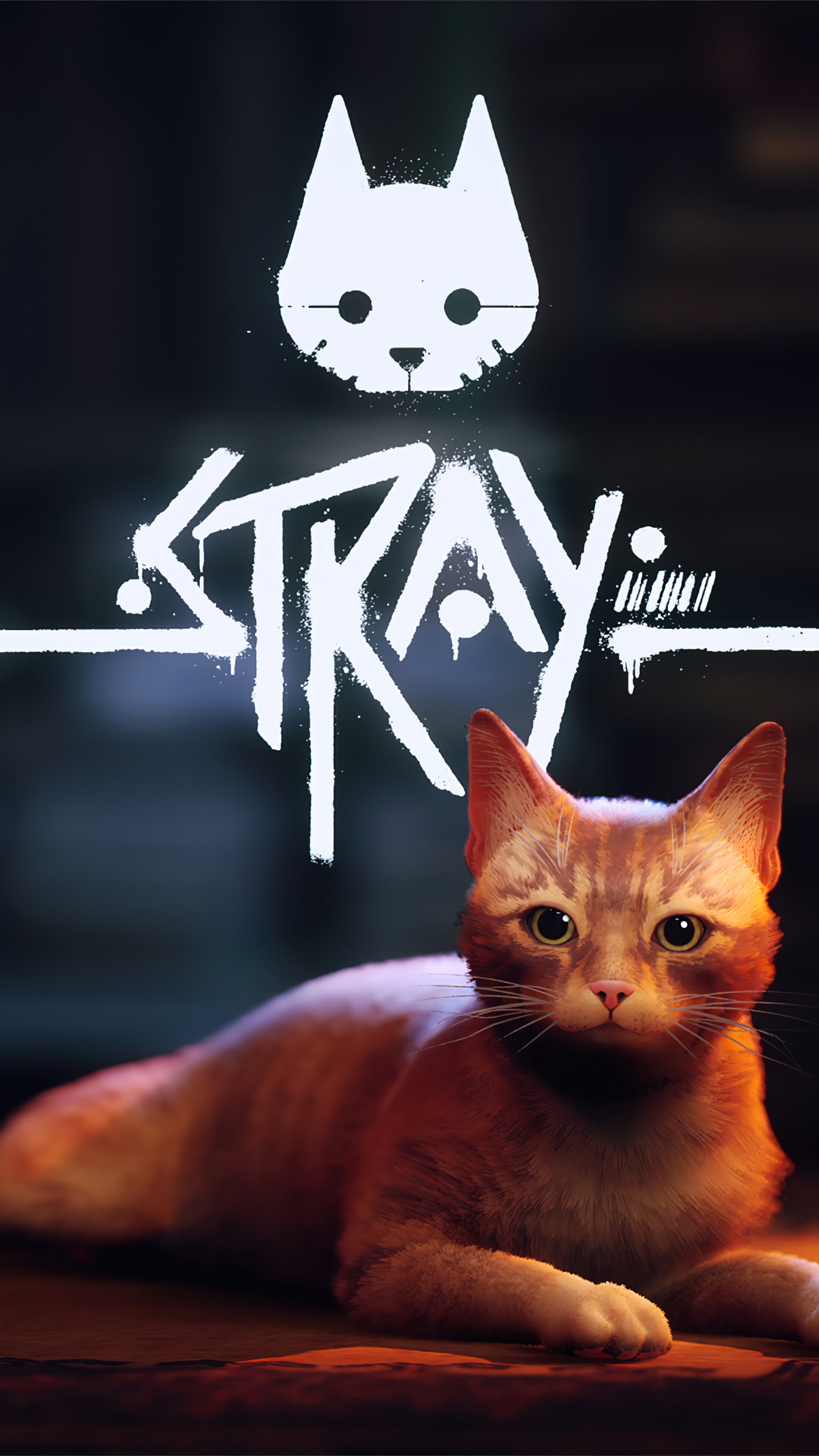 Stray Game 4K Wallpaper iPhone HD Phone g