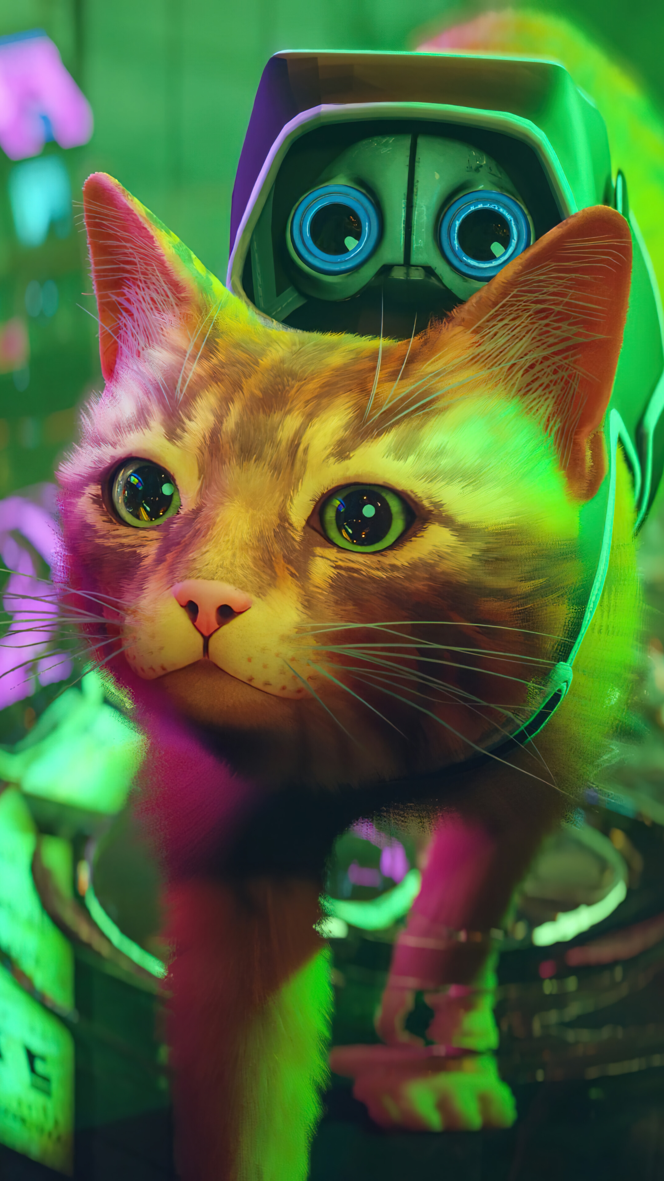 Stray Game 4K Wallpaper iPhone HD Phone h