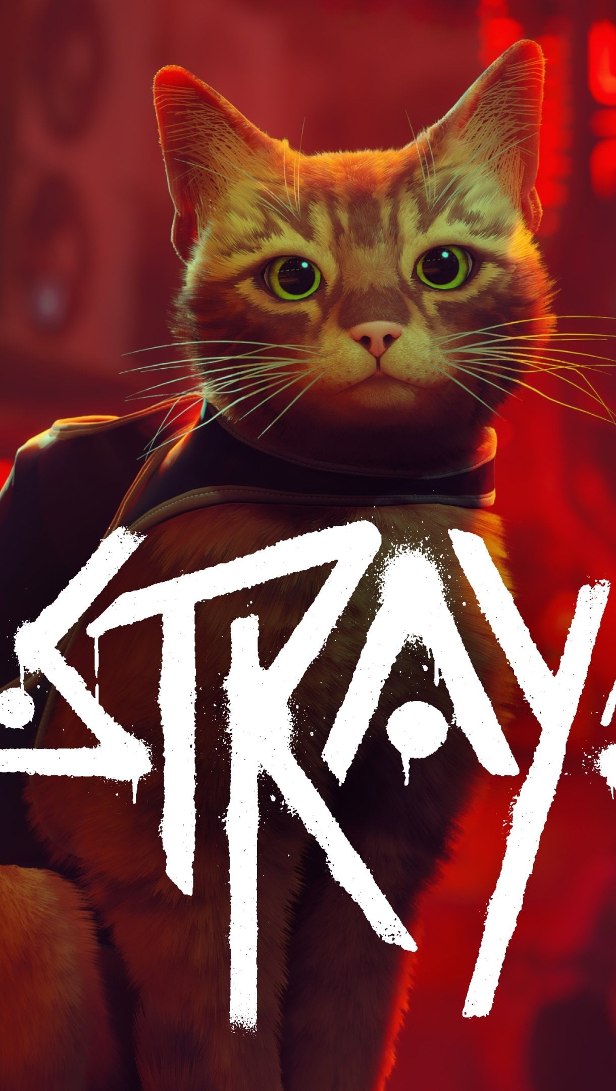 Stray Game Cover Wallpaper 4k for iPhone and Mobile Phone