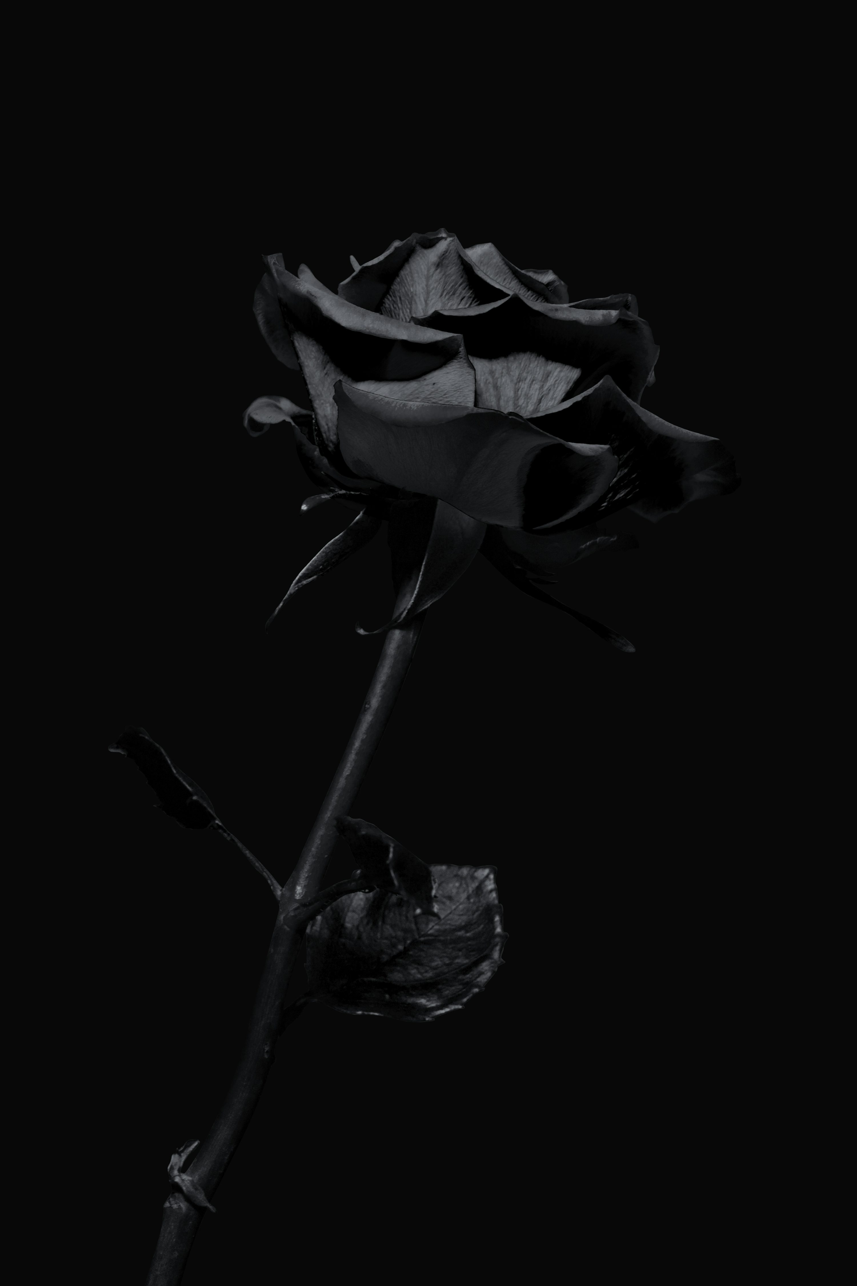 iPhone Dark Picture. Download Free Image