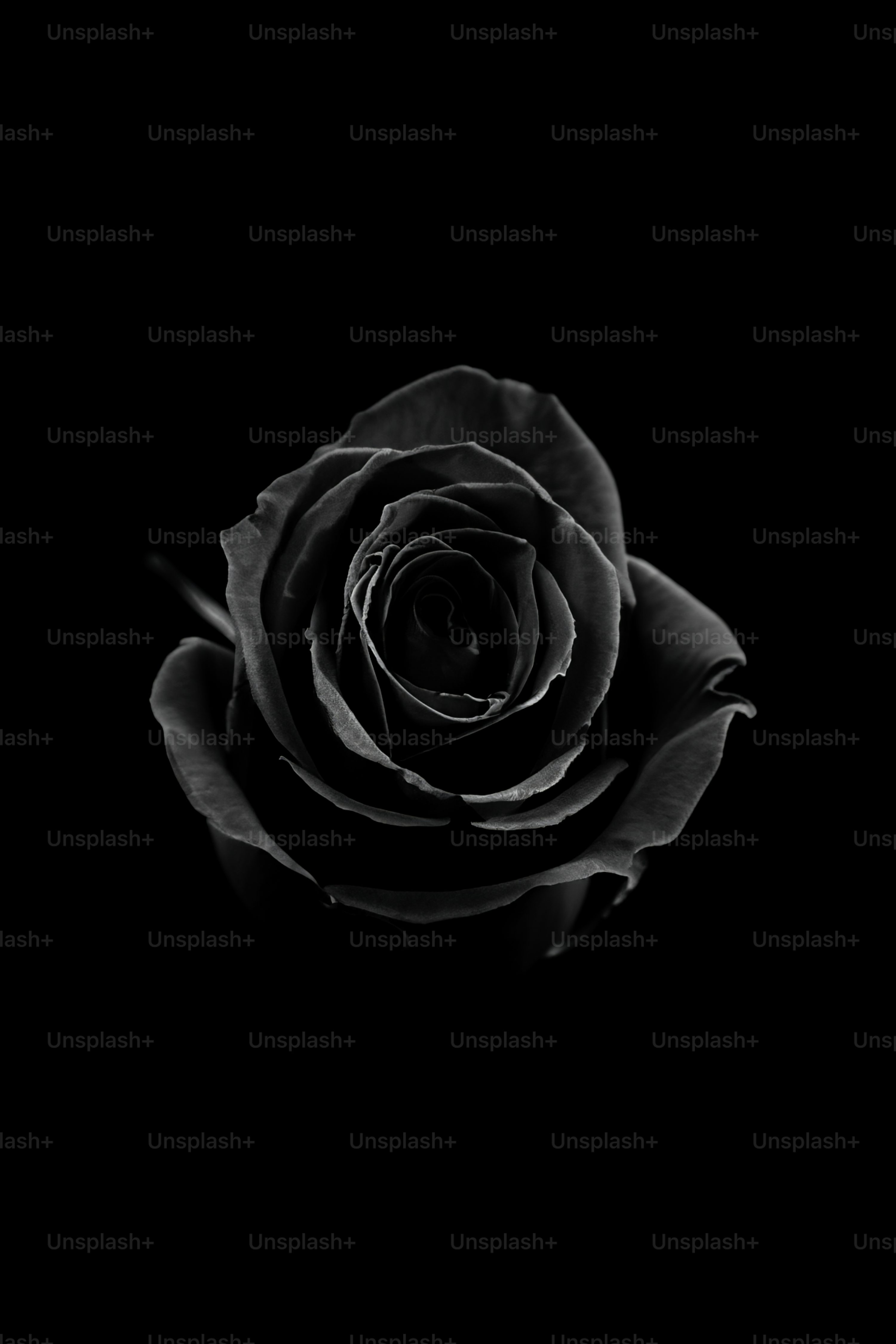 Pure Black Picture. Download Free Image