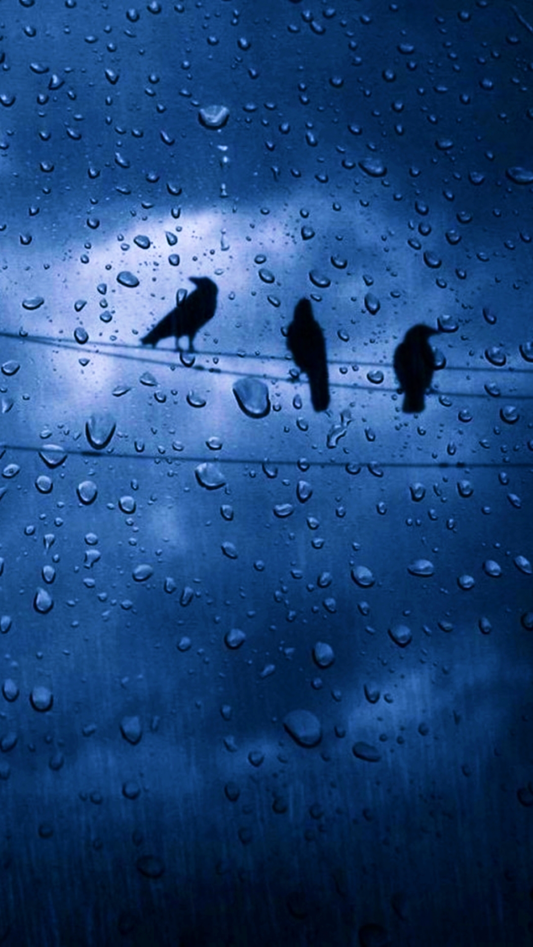 Phone wallpaper: Rain, Photography, Water Drop, Bird, Dark, Cloud, Sky 1251911