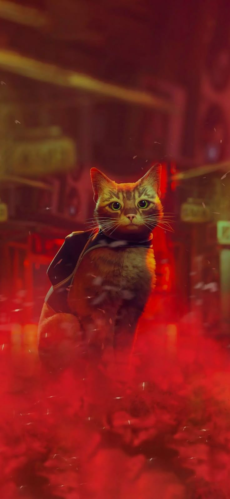 Stray. Stray cat, Kitty games, Cats