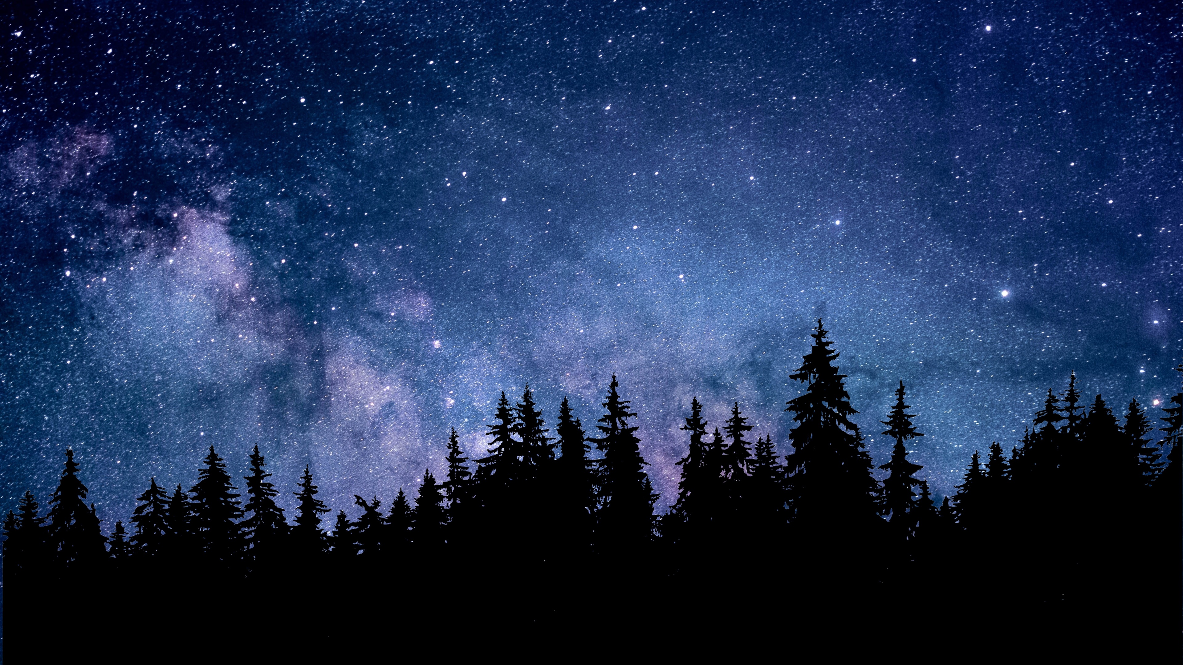 Night Wallpaper 4K, Starry sky, Forest, Silhouette
