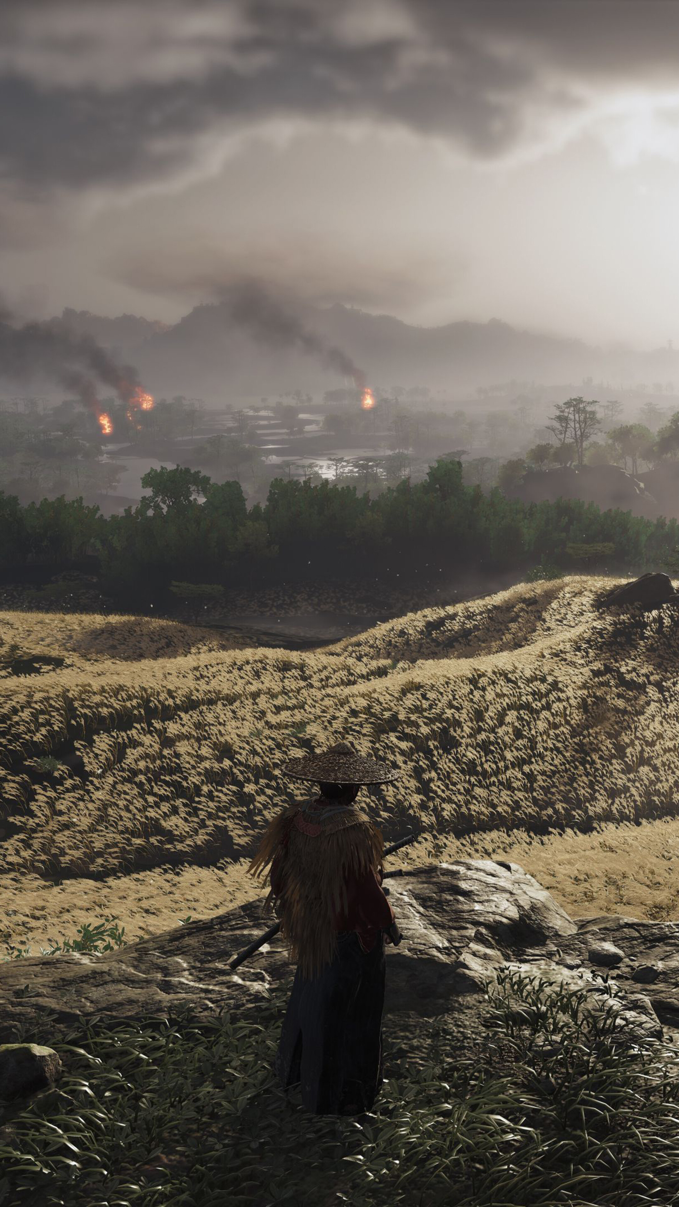 Ghost Of Tsushima, Field, Scenery, 4K HD Phone Wallpaper