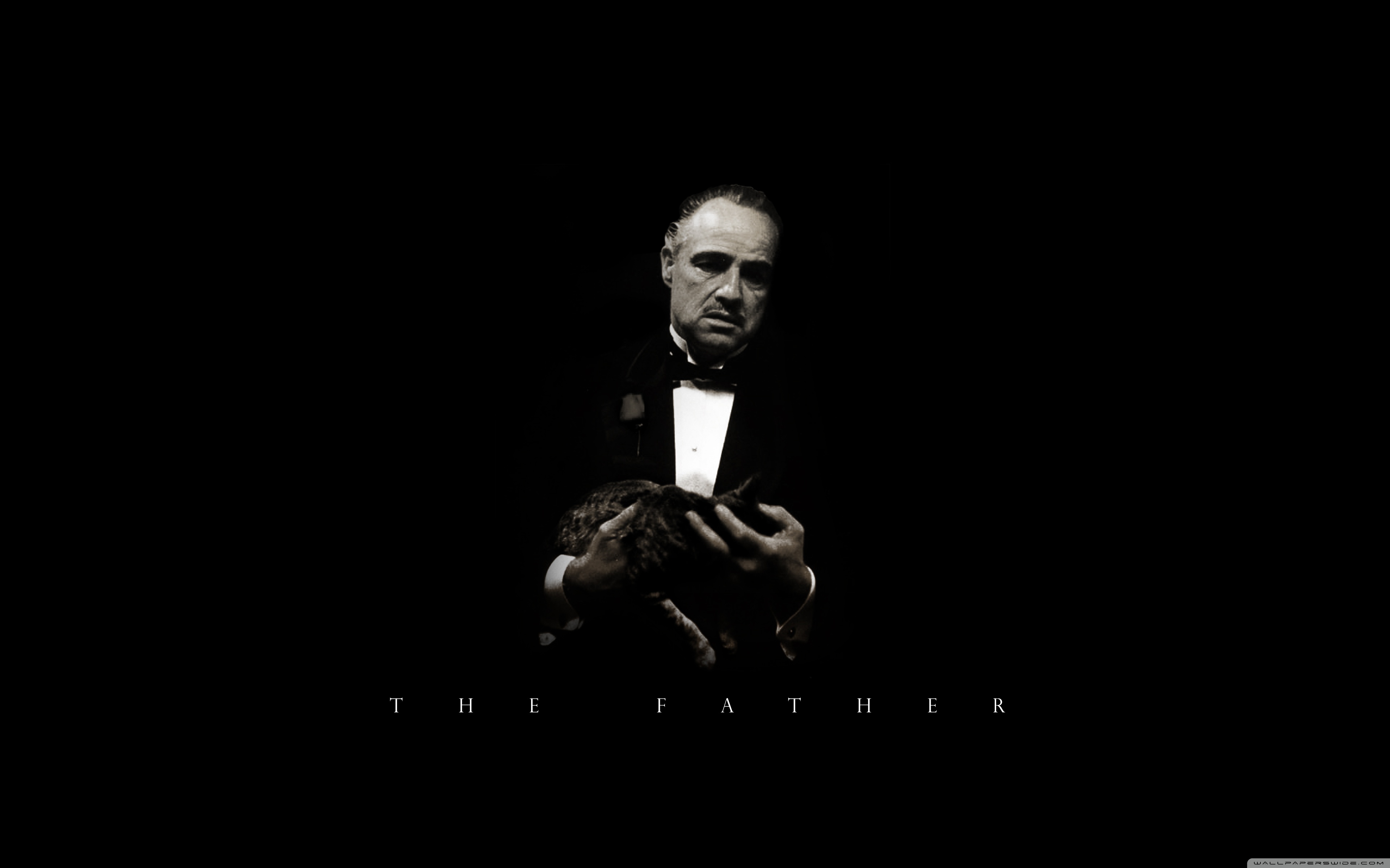 The Godfather & Cat 4K UHD Wallpaper for UltraHD Desktop and TV, Smartphone and Tablet Devices