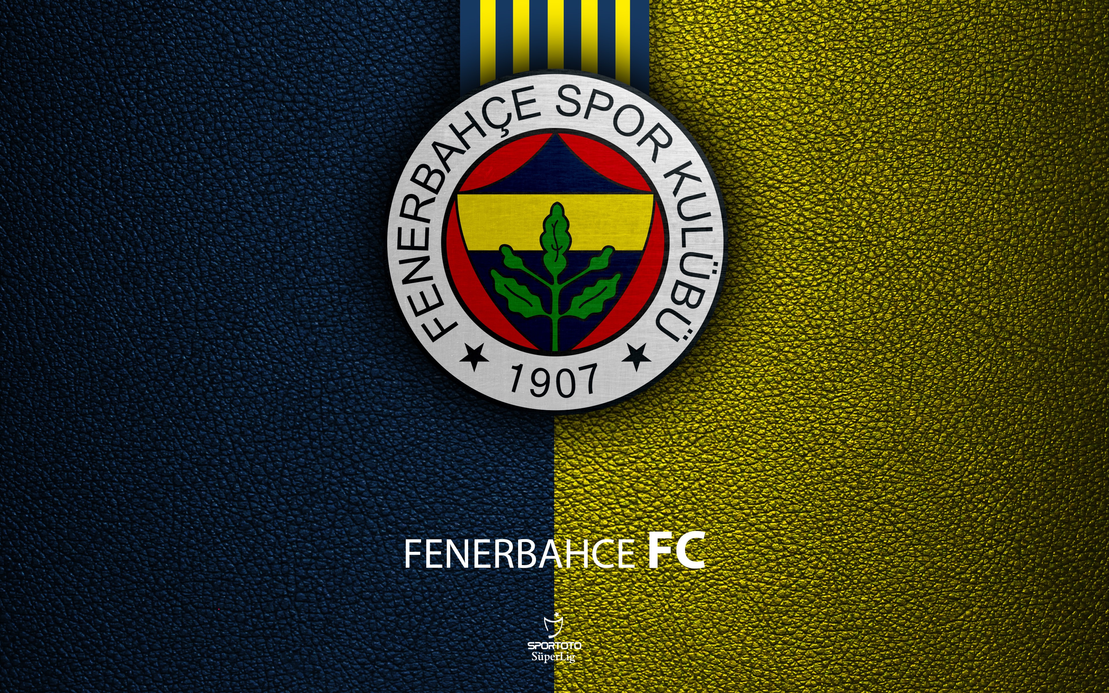 Wallpaper wallpaper, logo, football, Sport, Turkish Superlig, Fenerbahce for mobile and desktop, section спорт, resolution 3840x2400