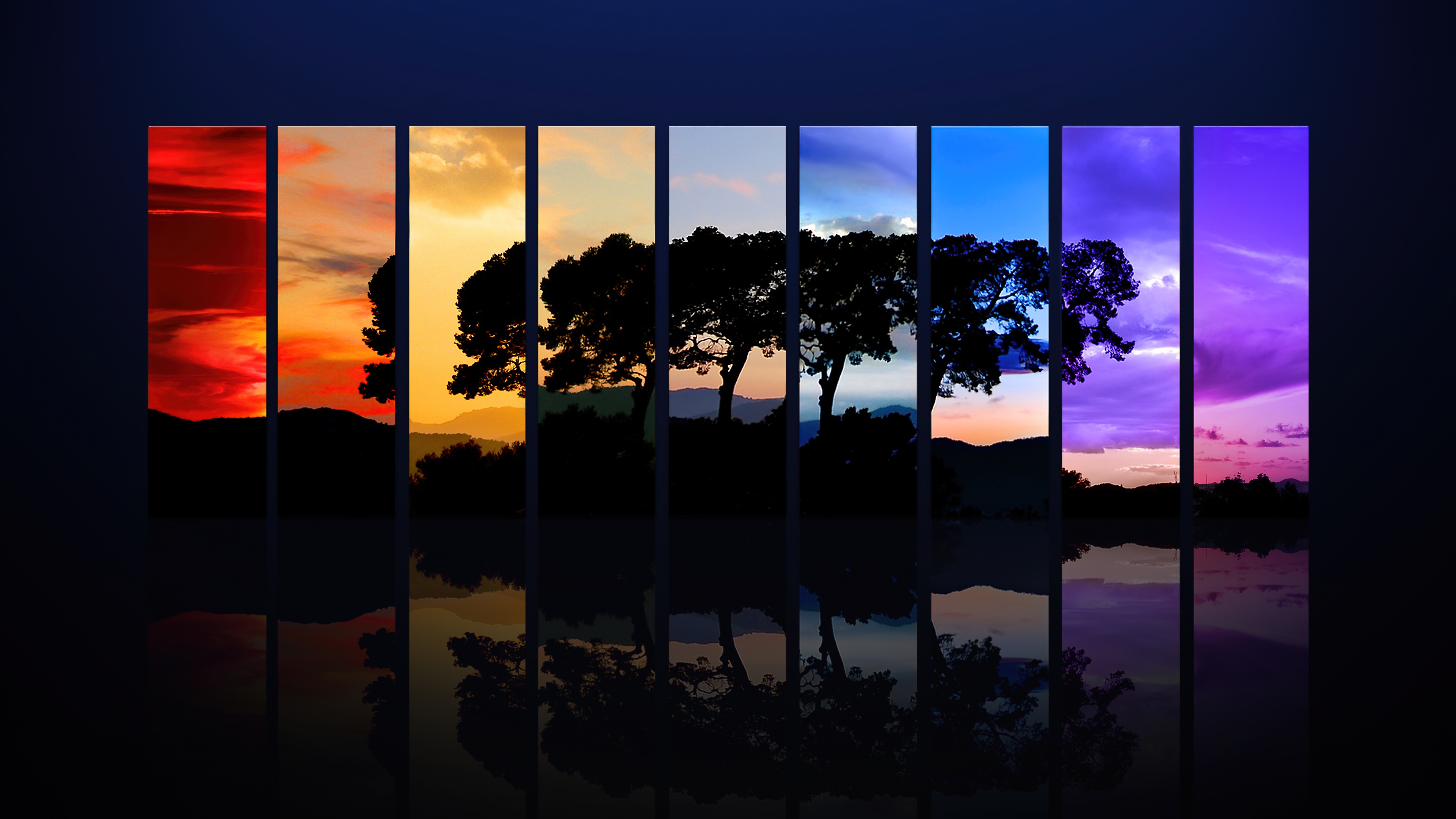 Tree Wallpaper 4K, Sunset, Daylight, Evening, Night