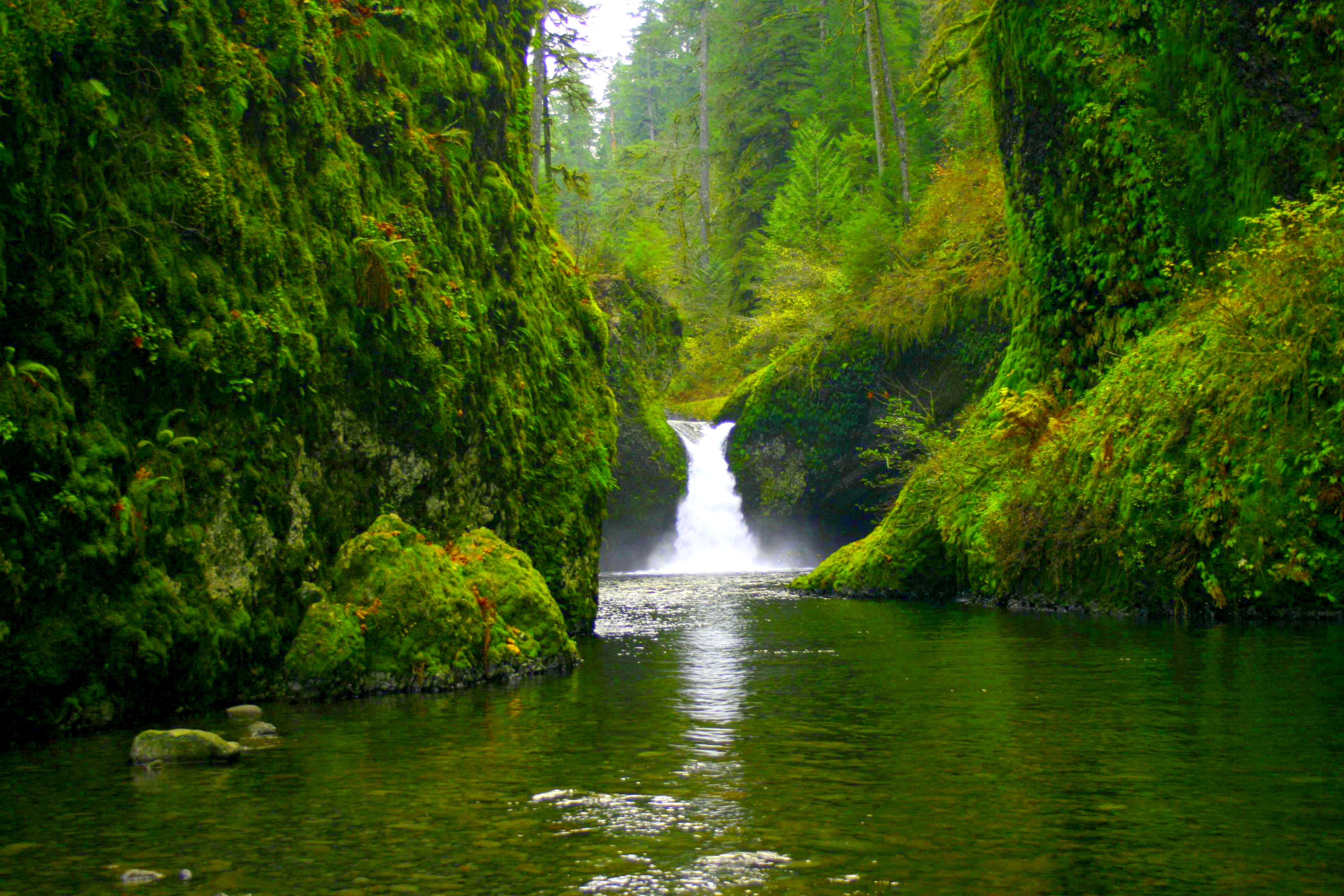 4K Ultra HD Waterfall Oasis: Lush Forest Pond Serenity