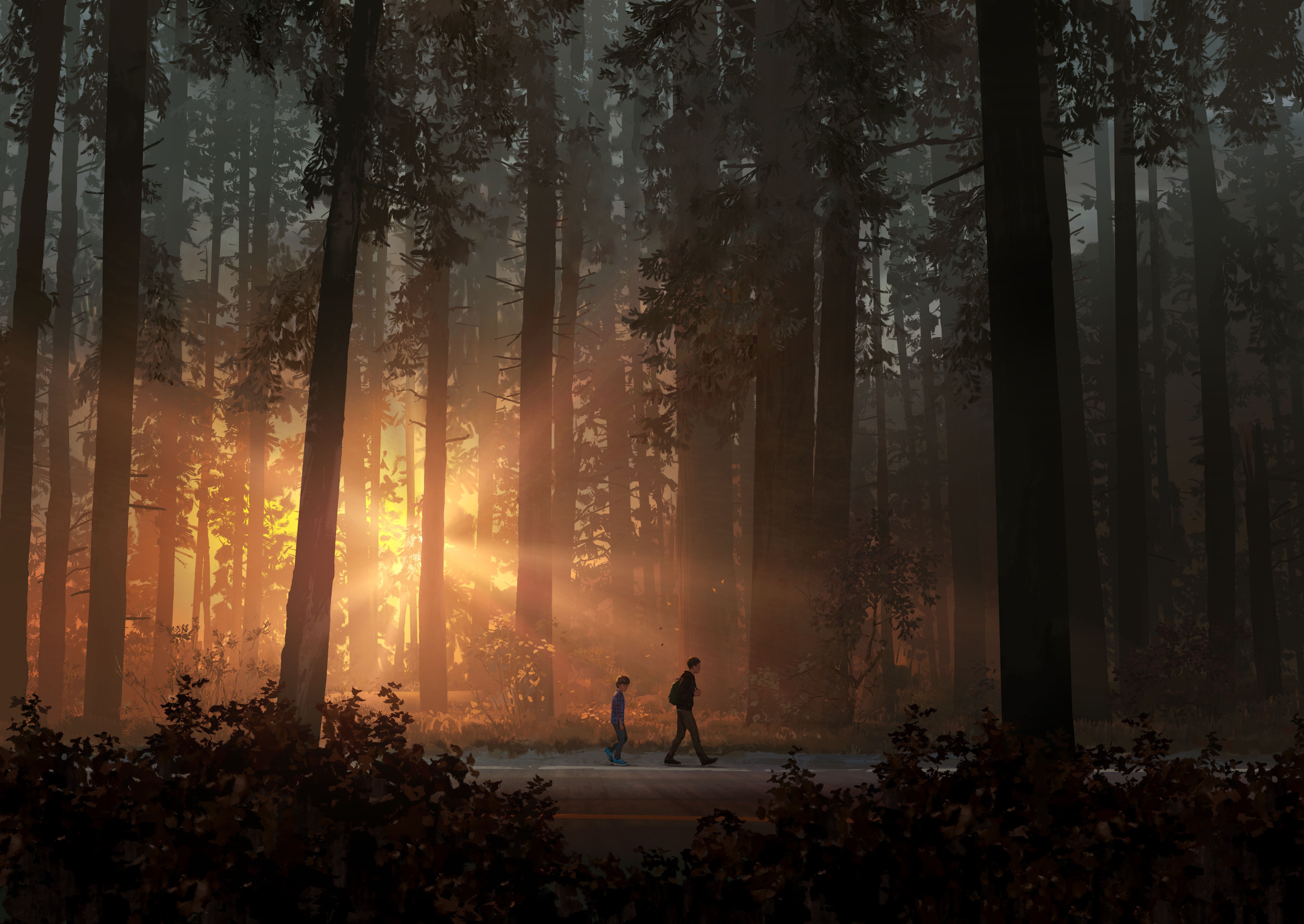 Life is Strange 2K Ultra HD Forest Adventure Wallpaper