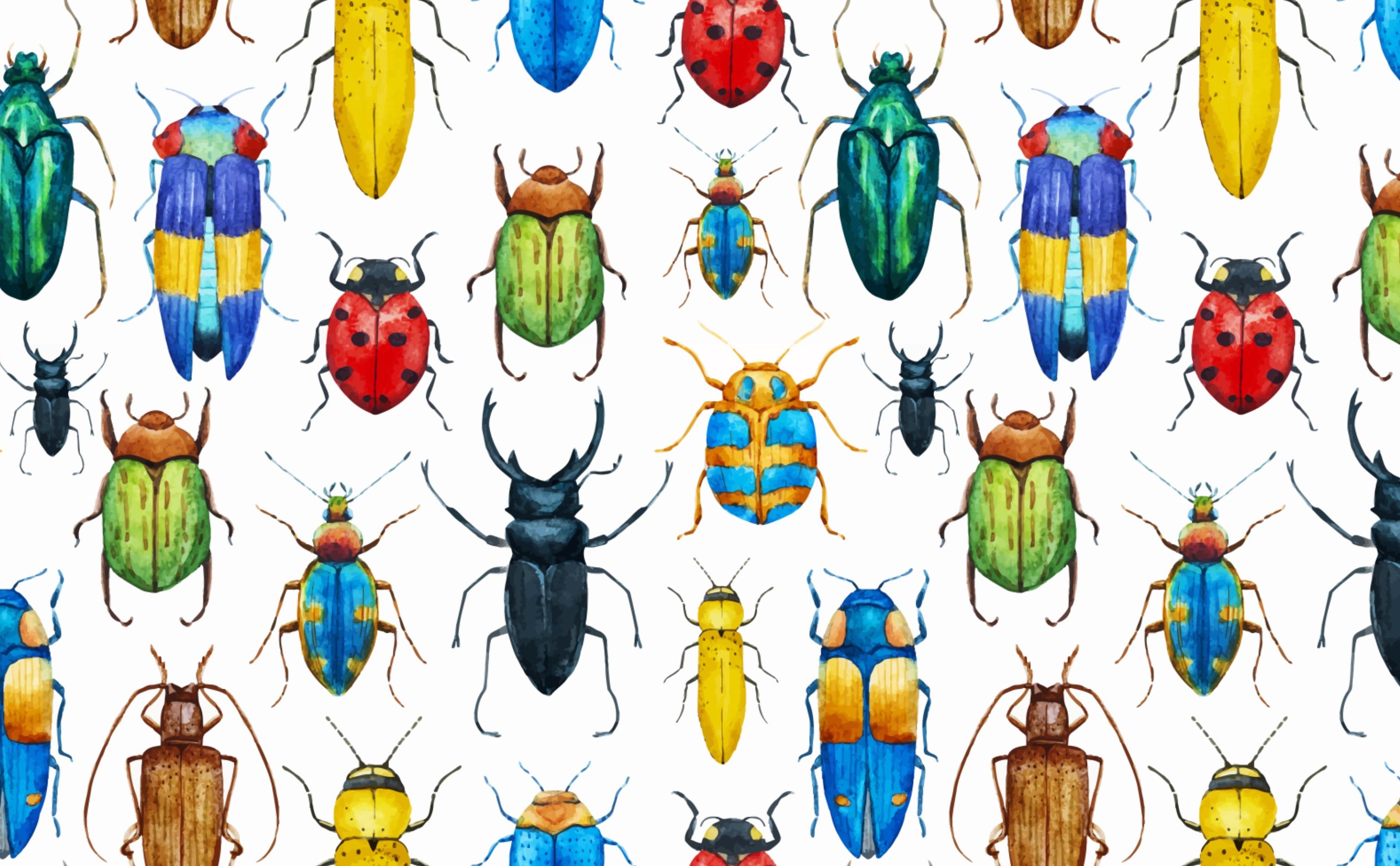 Insects Wallpaper, HD Background on WallpaperBat