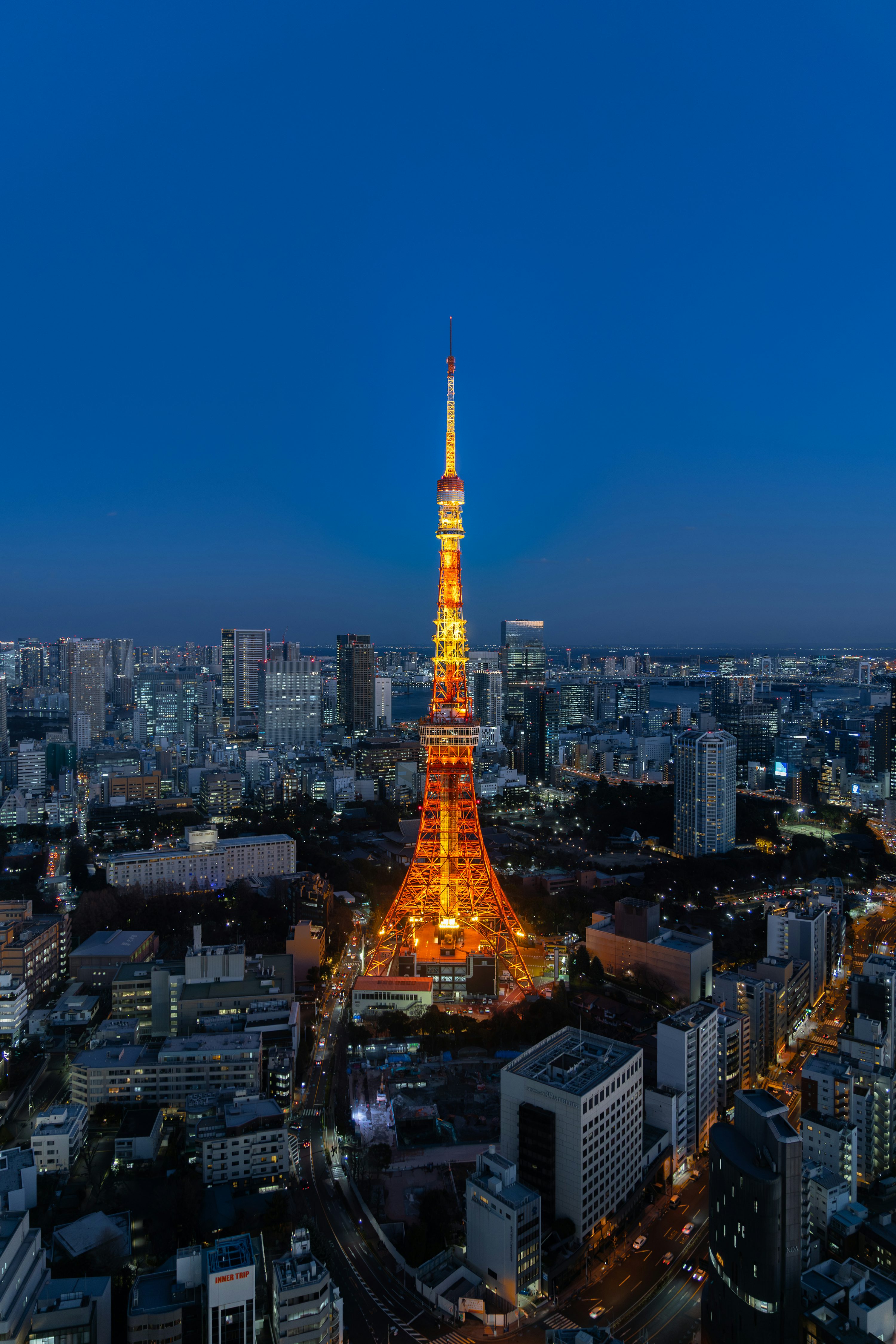 The eiffel tower is lit up at night photo