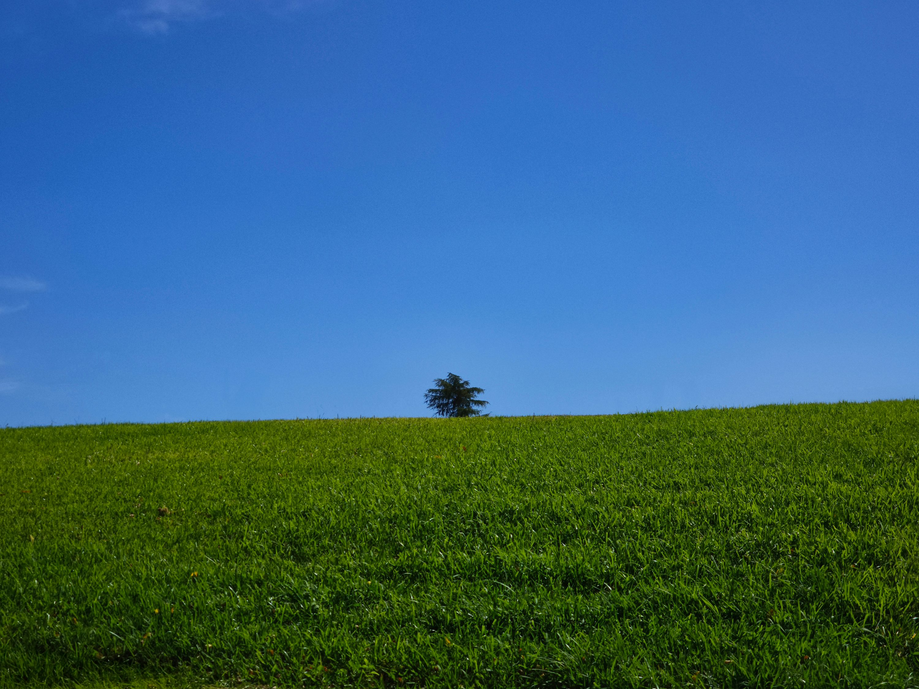 Frutiger Aero Picture. Download Free Image