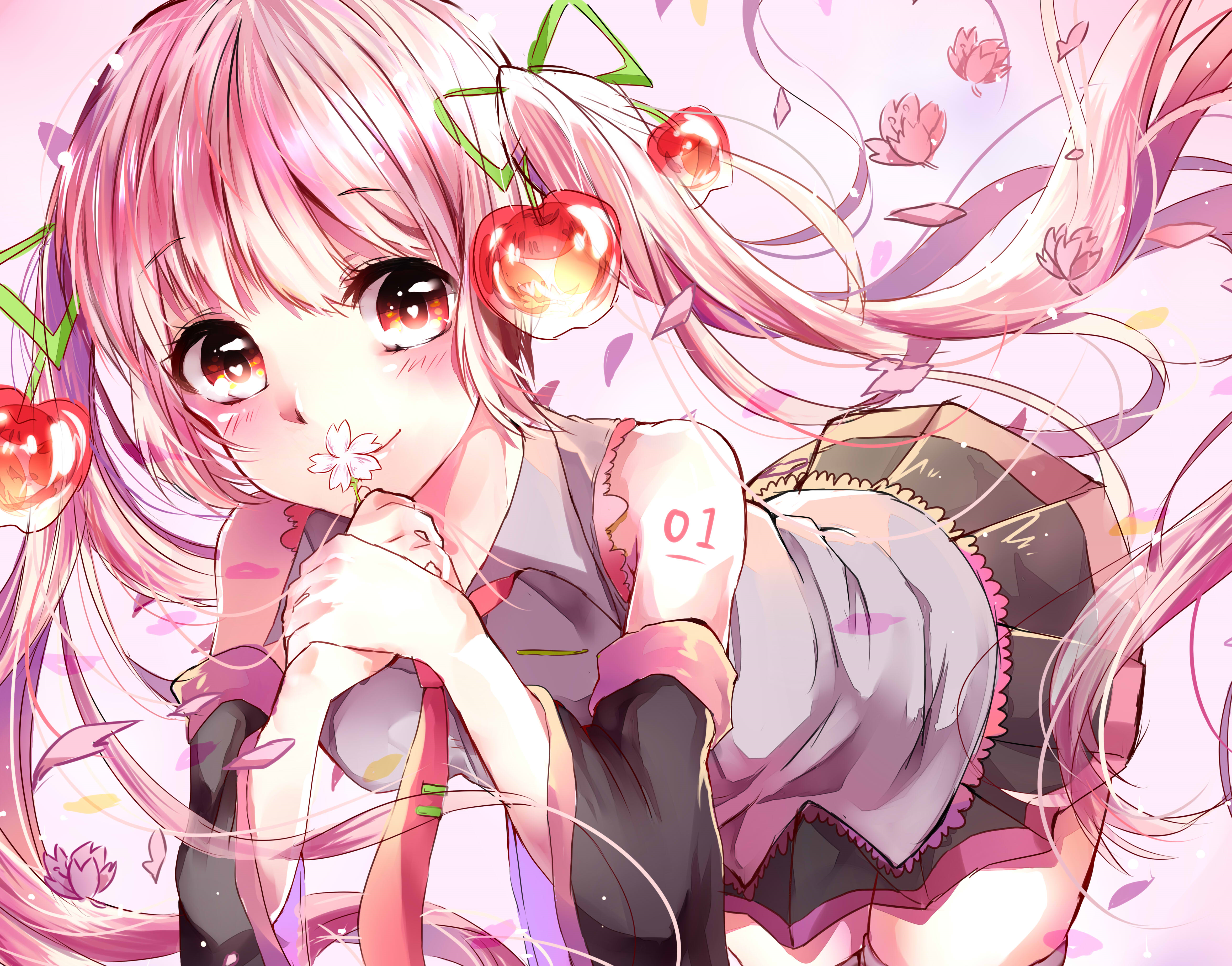 Sakura Miku Bloom