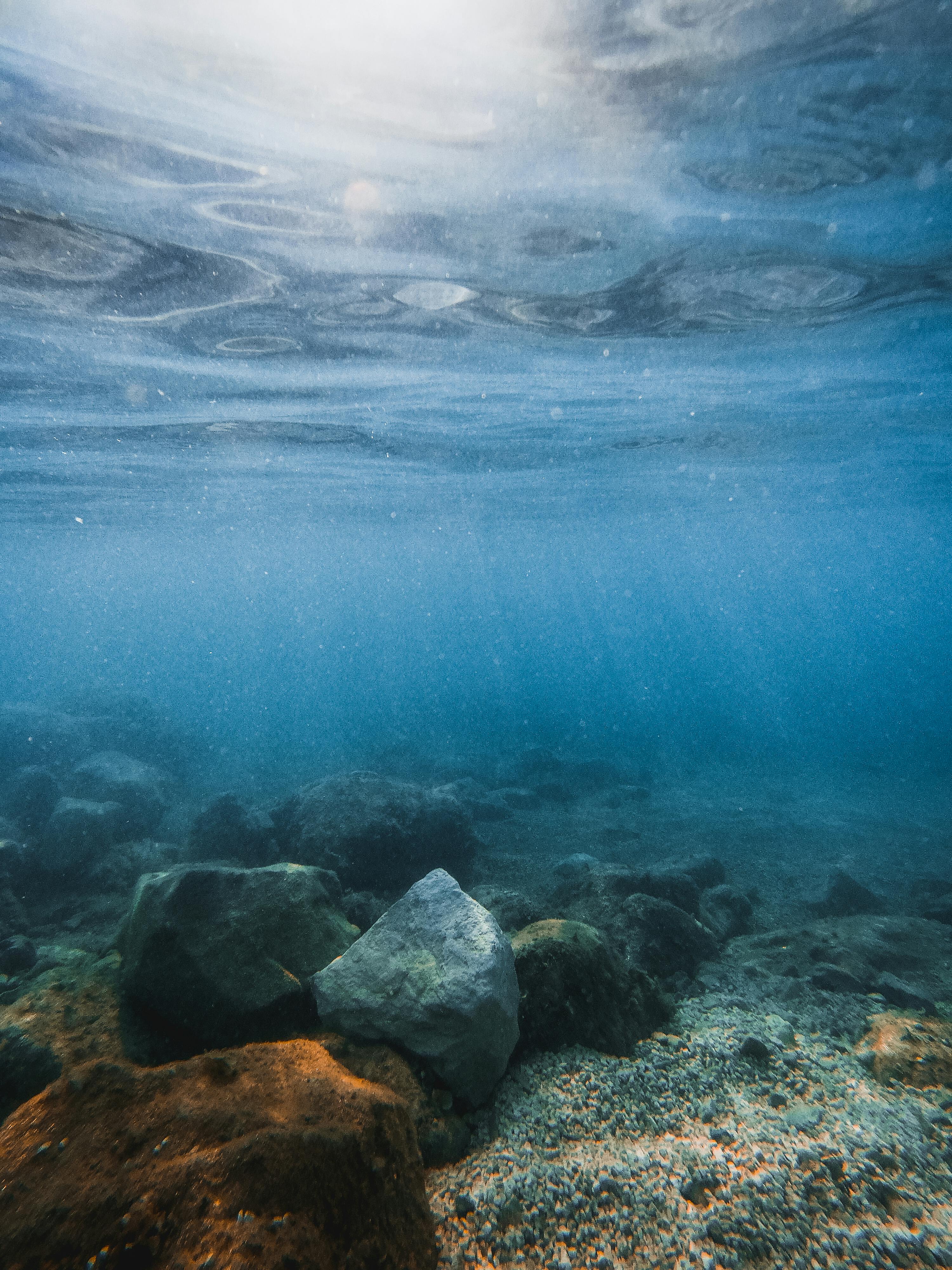 Moss Covered Rock Underwater · Free