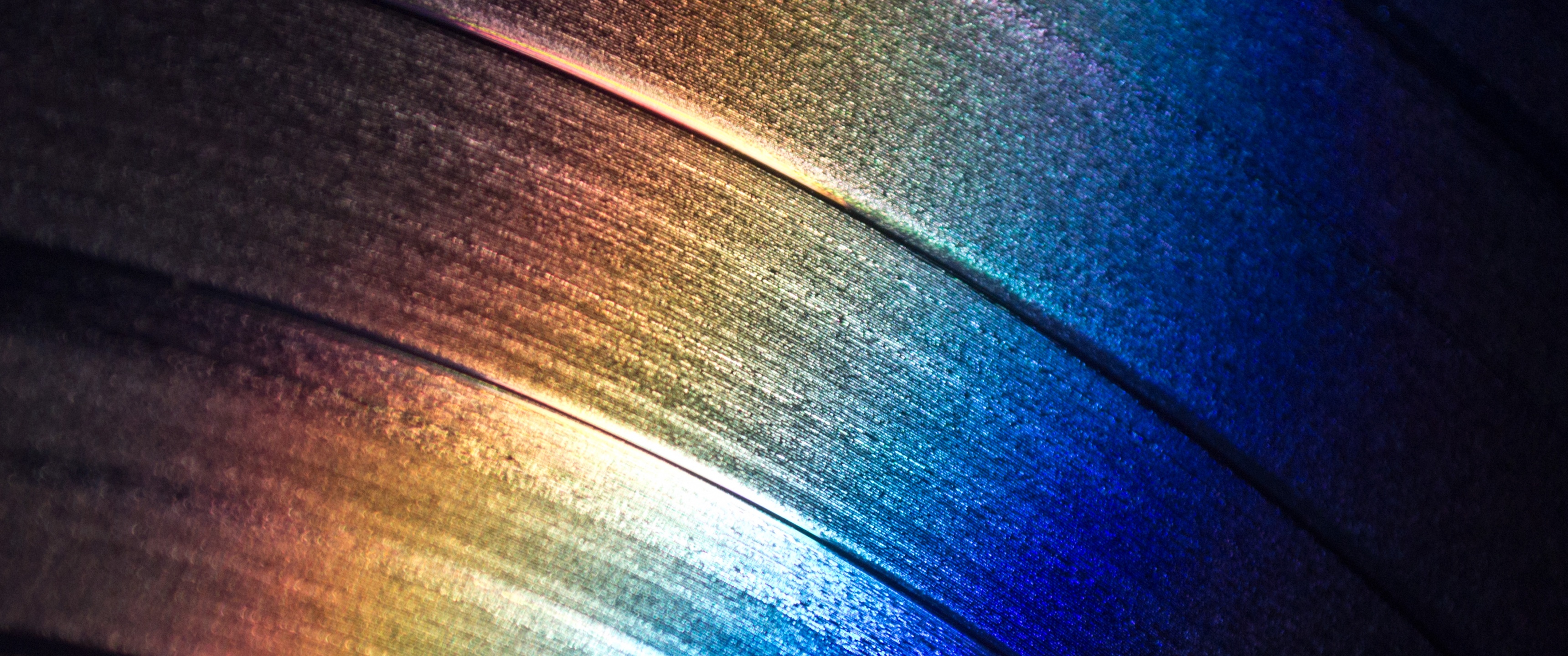 Light on record Wallpaper 4K, Closeup, Macro, Rainbow colors