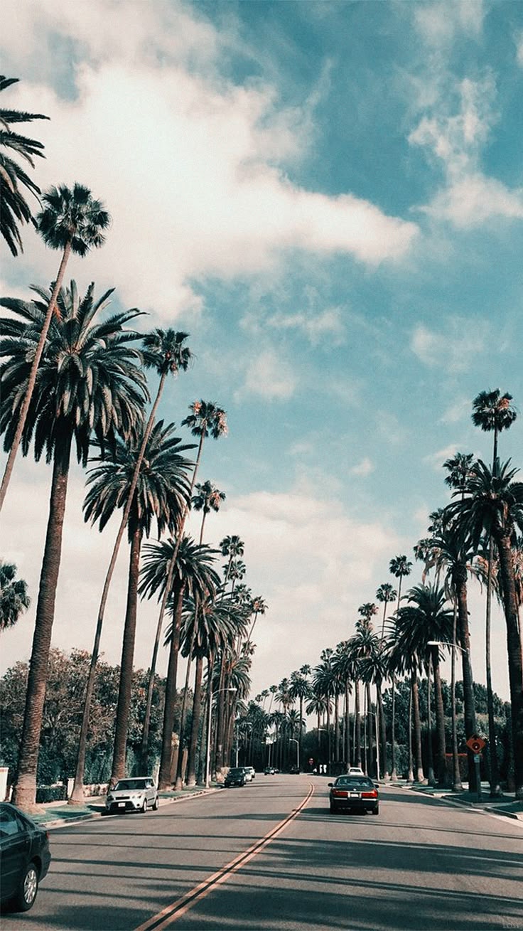 California Sky Aesthetic Wallpaper