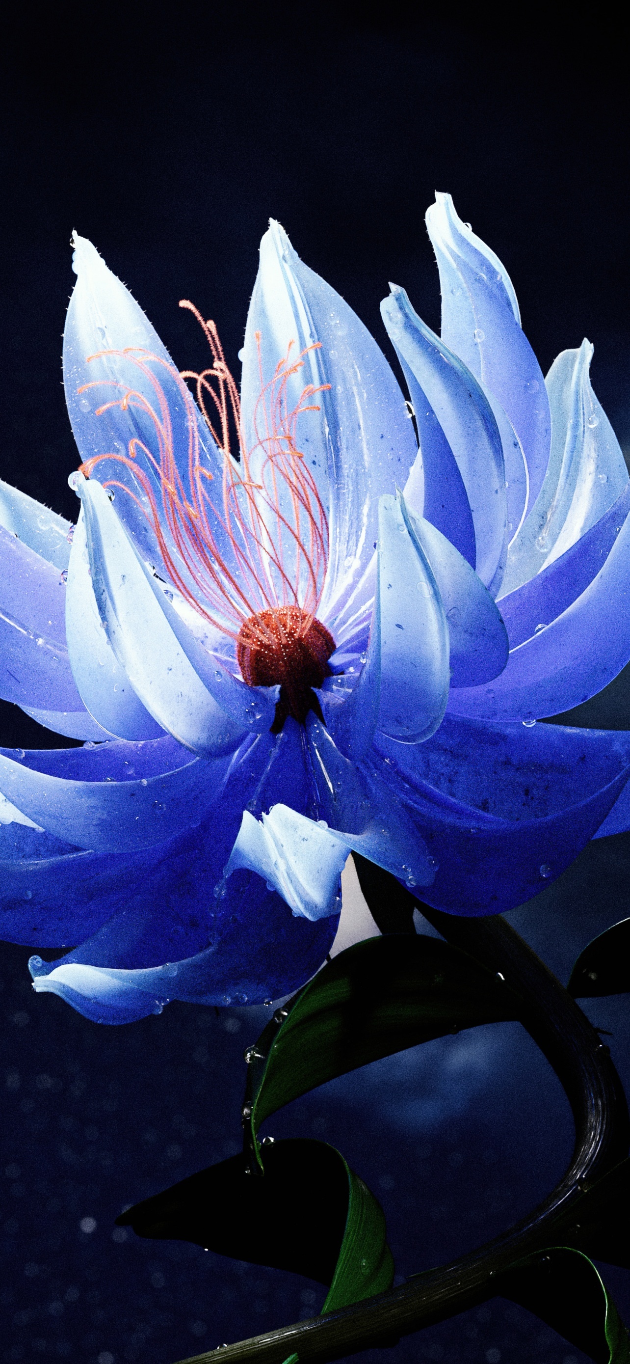 Lotus Flower Blue Best IPhone And Android Desktop Lock Screen Home Screen Wallpaper Background And 2025