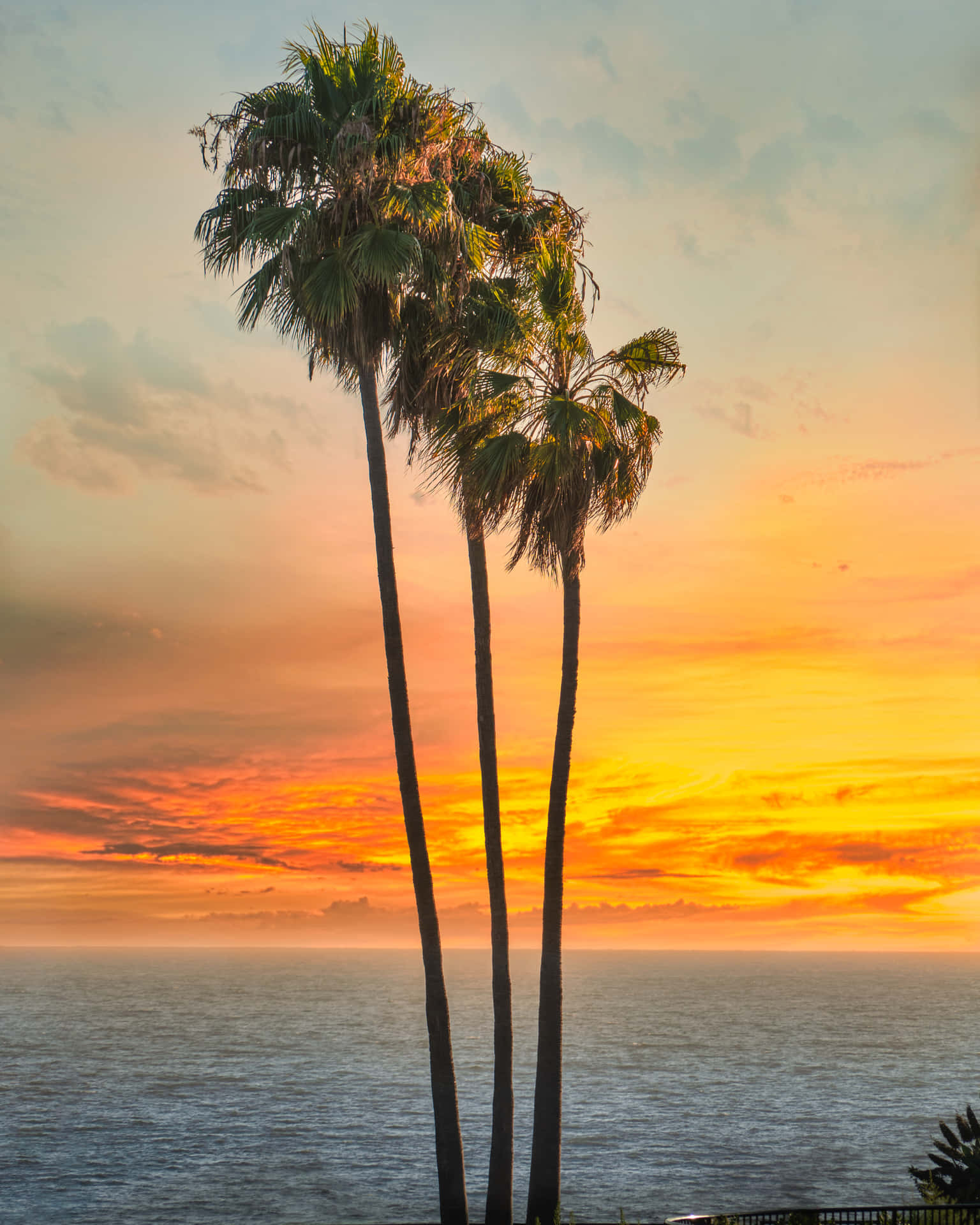 Southern California Wallpaper
