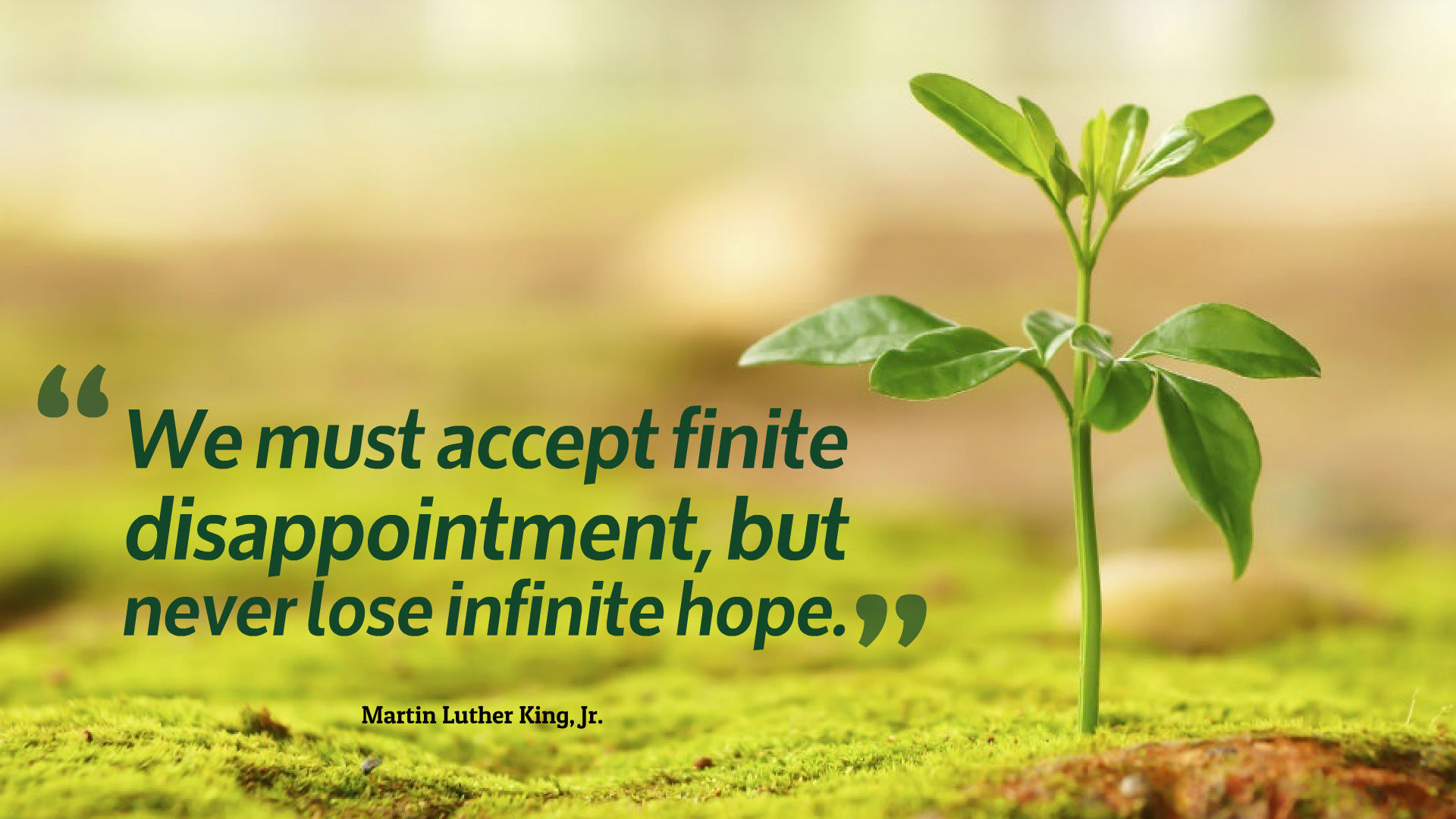 Hope Quotes Desktop Wallpaper 13863