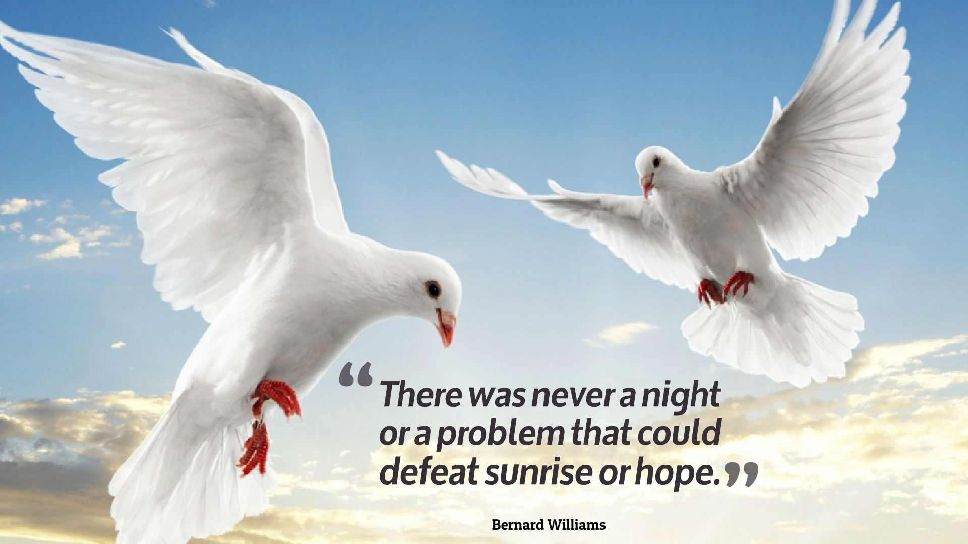 Hope Quotes HD Wallpaper 13864
