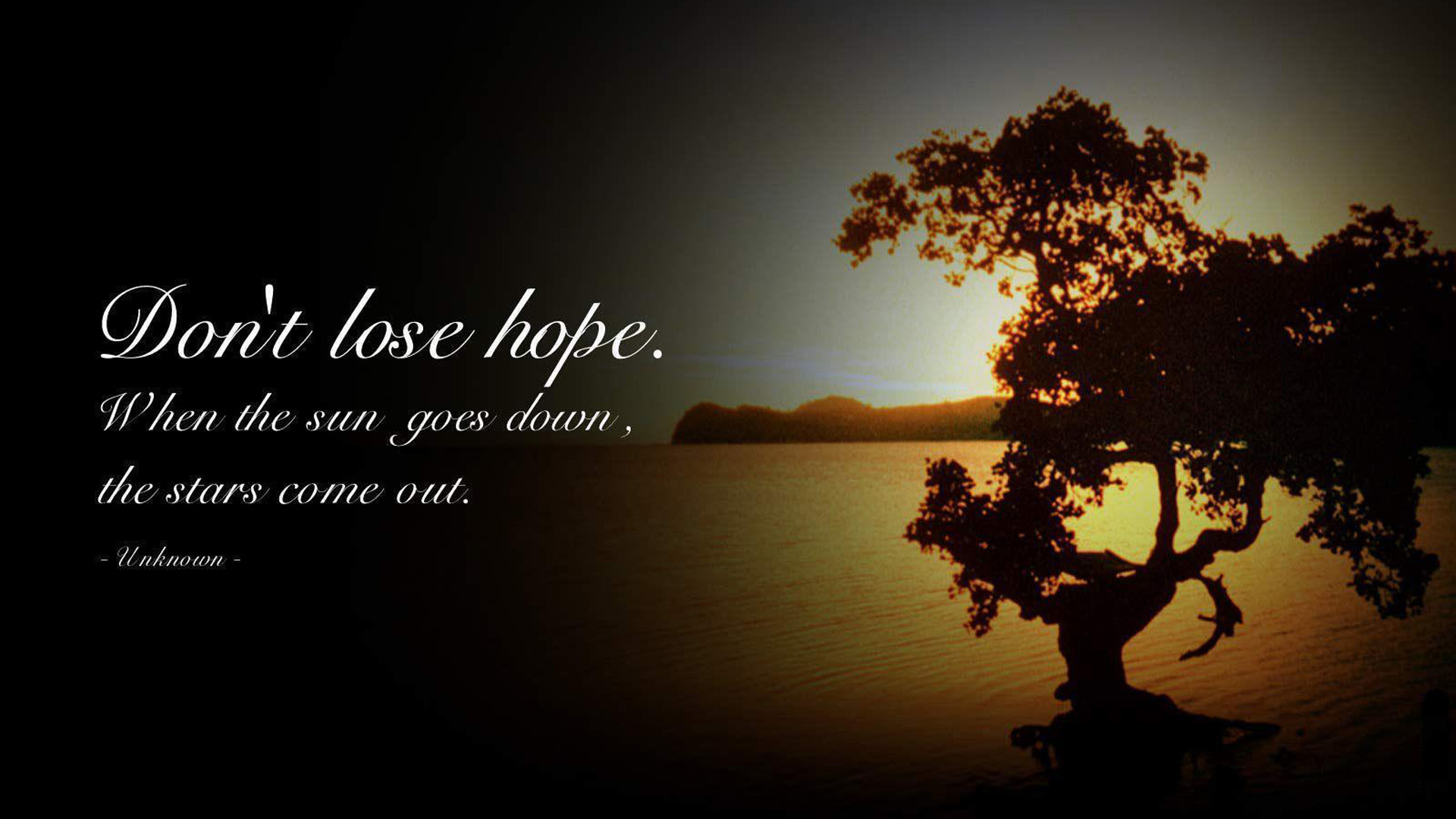 Don't Lose Hope HD Motivational Wallpaper