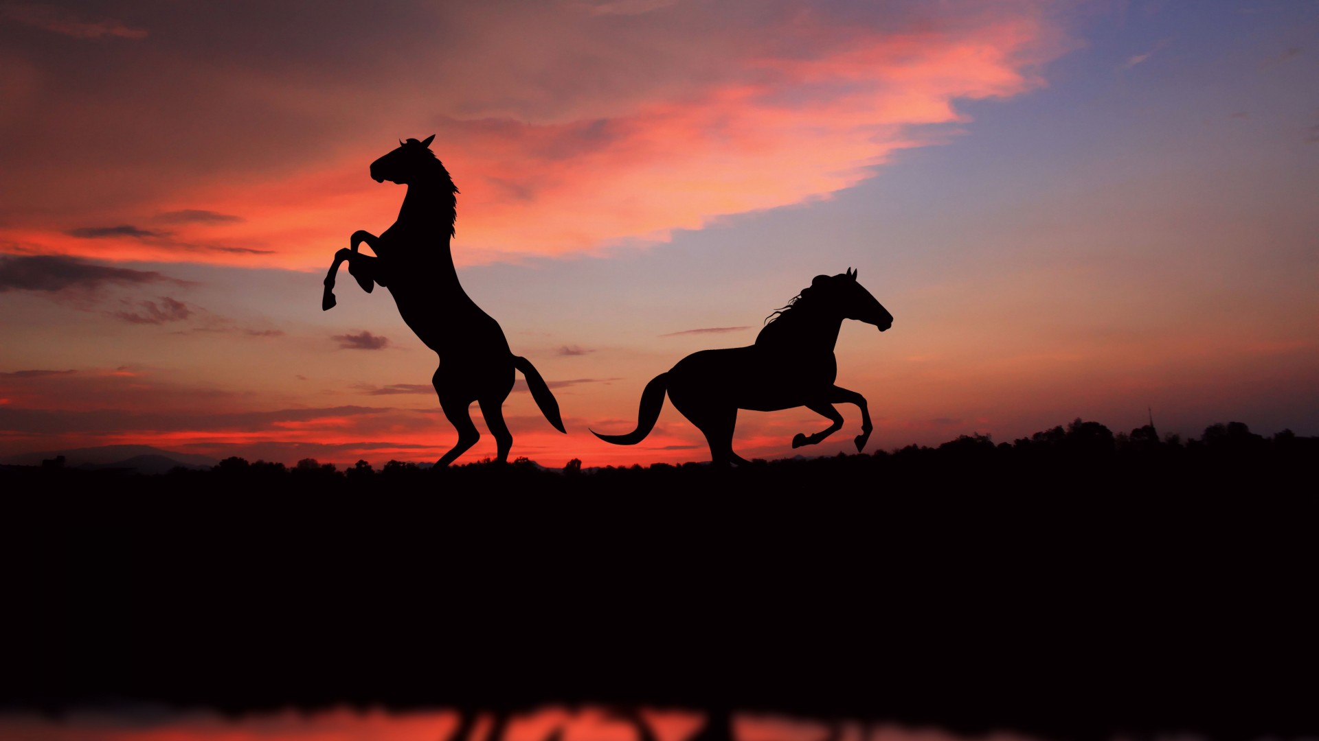 Horses With Background Of Sunset Sky 4K 5K HD Horse Wallpaper
