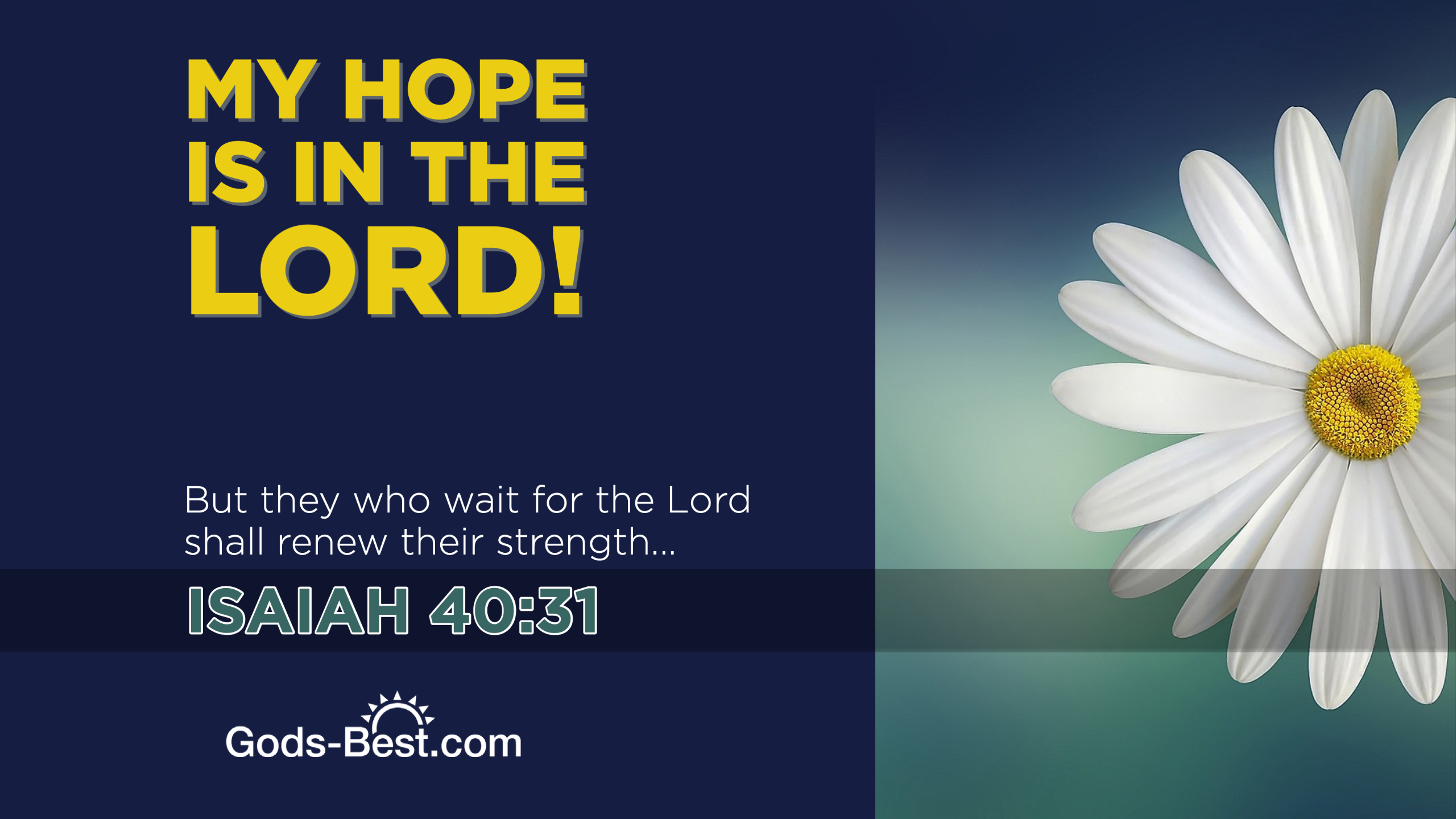 Hope in God Phone and Desktop Wallpaper's Best for Your Life!