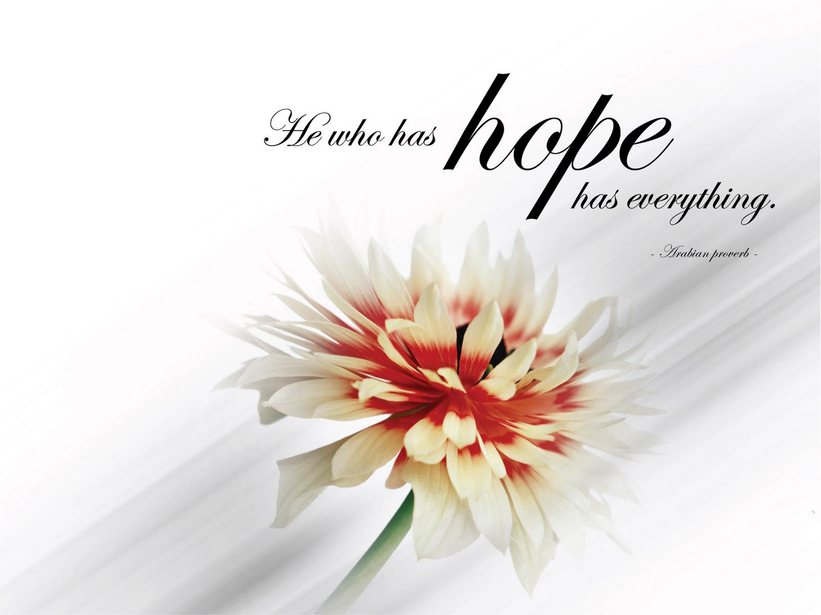 Hope Wallpaper Quotesstack