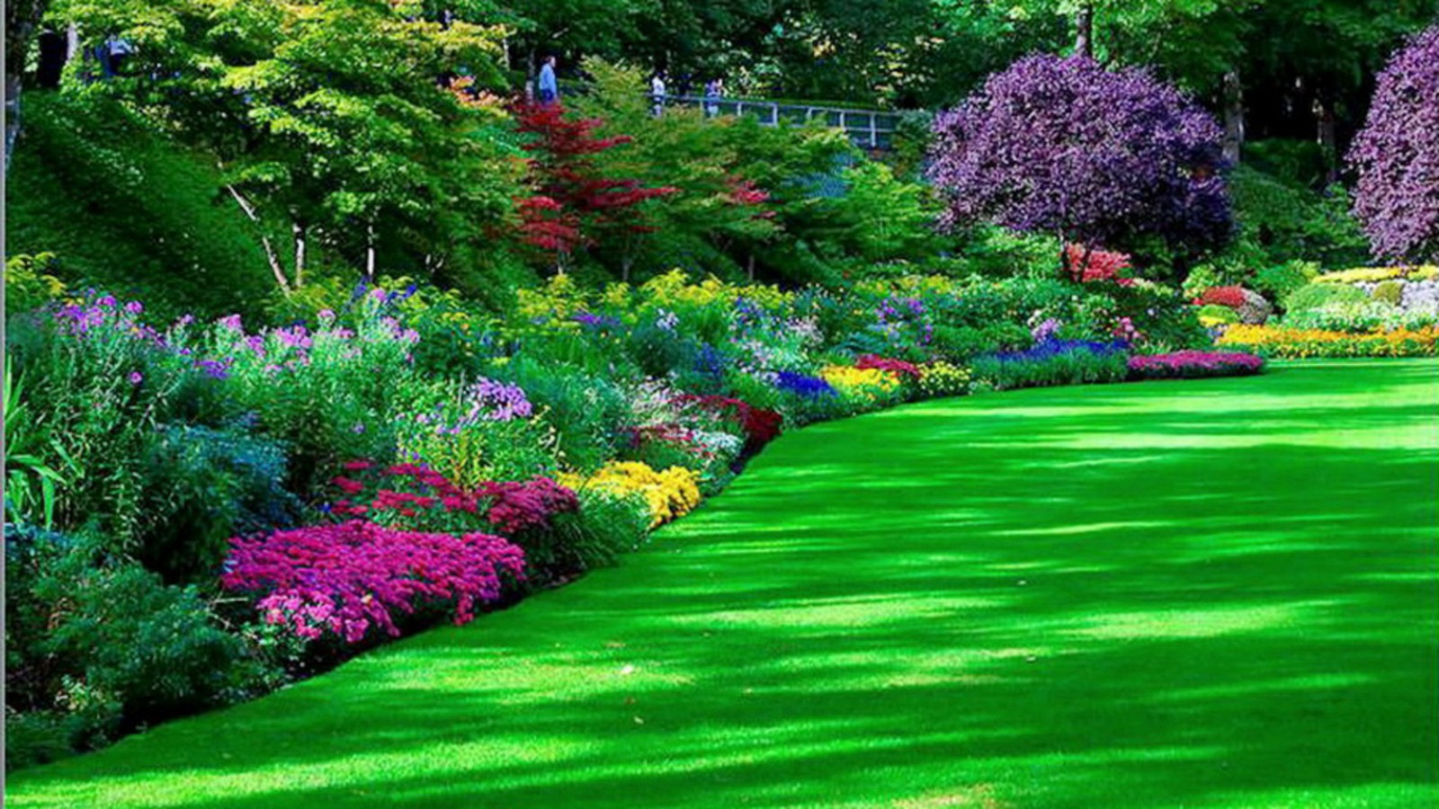 Garden Park With Green Grass And Colorful Flowers HD Garden Wallpaper