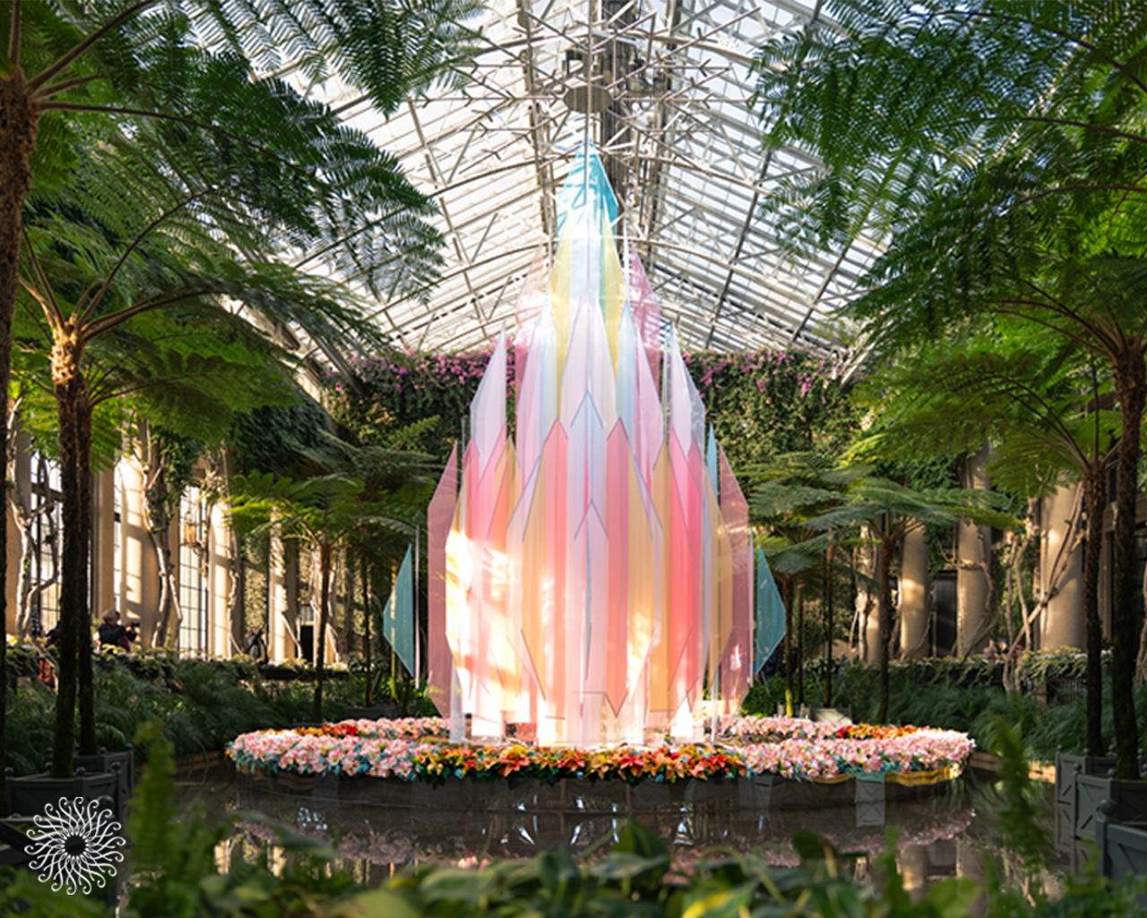 Desktop Wallpaper & Background