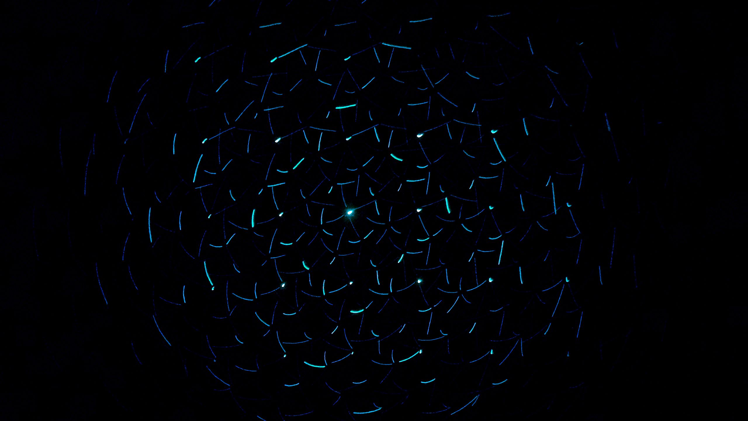 Download wallpaper 2560x1440 light, neon, dark background, circles widescreen 16:9 HD background