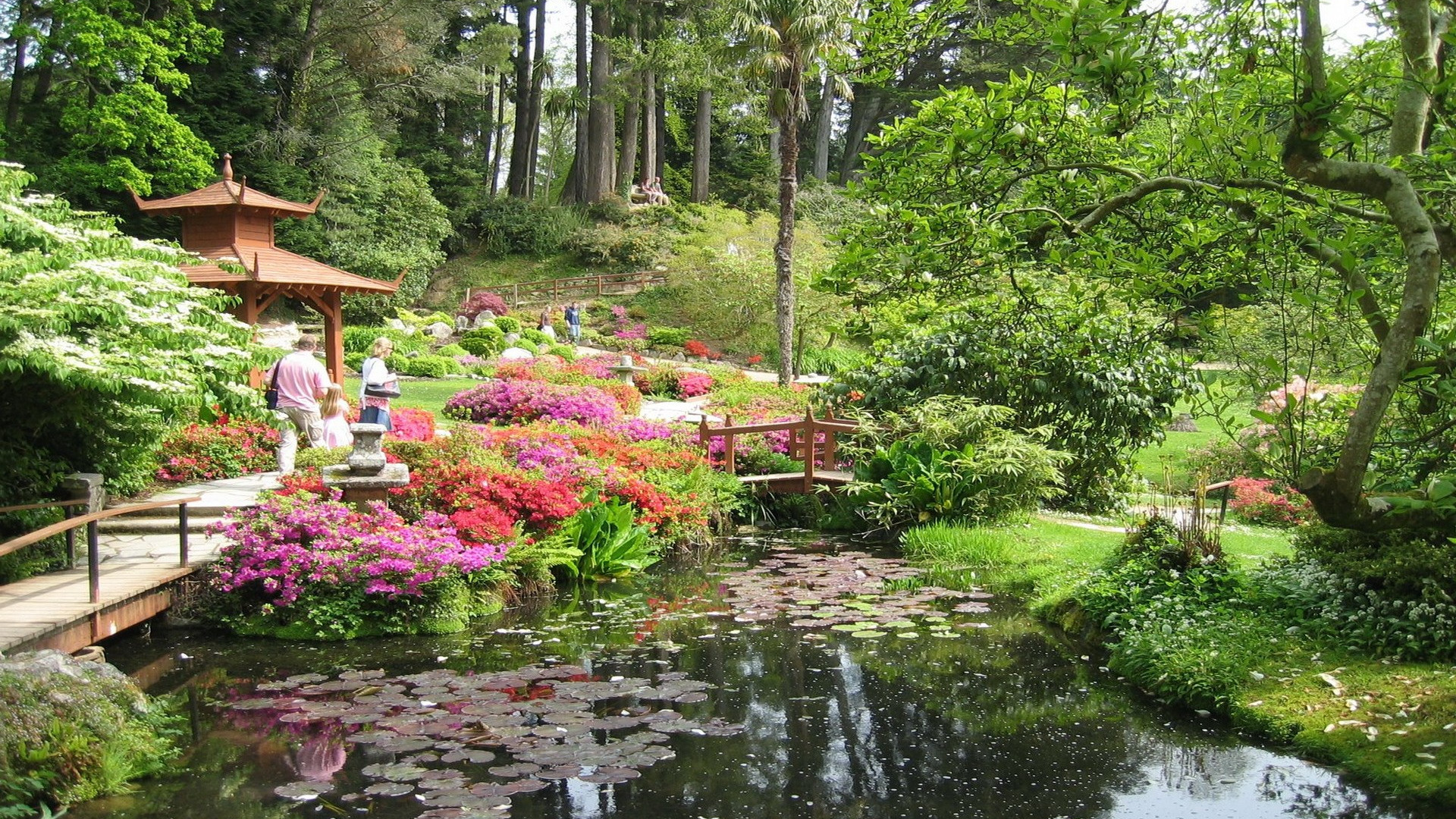 Zen Garden Nature HD Desktop Wallpaper 119699