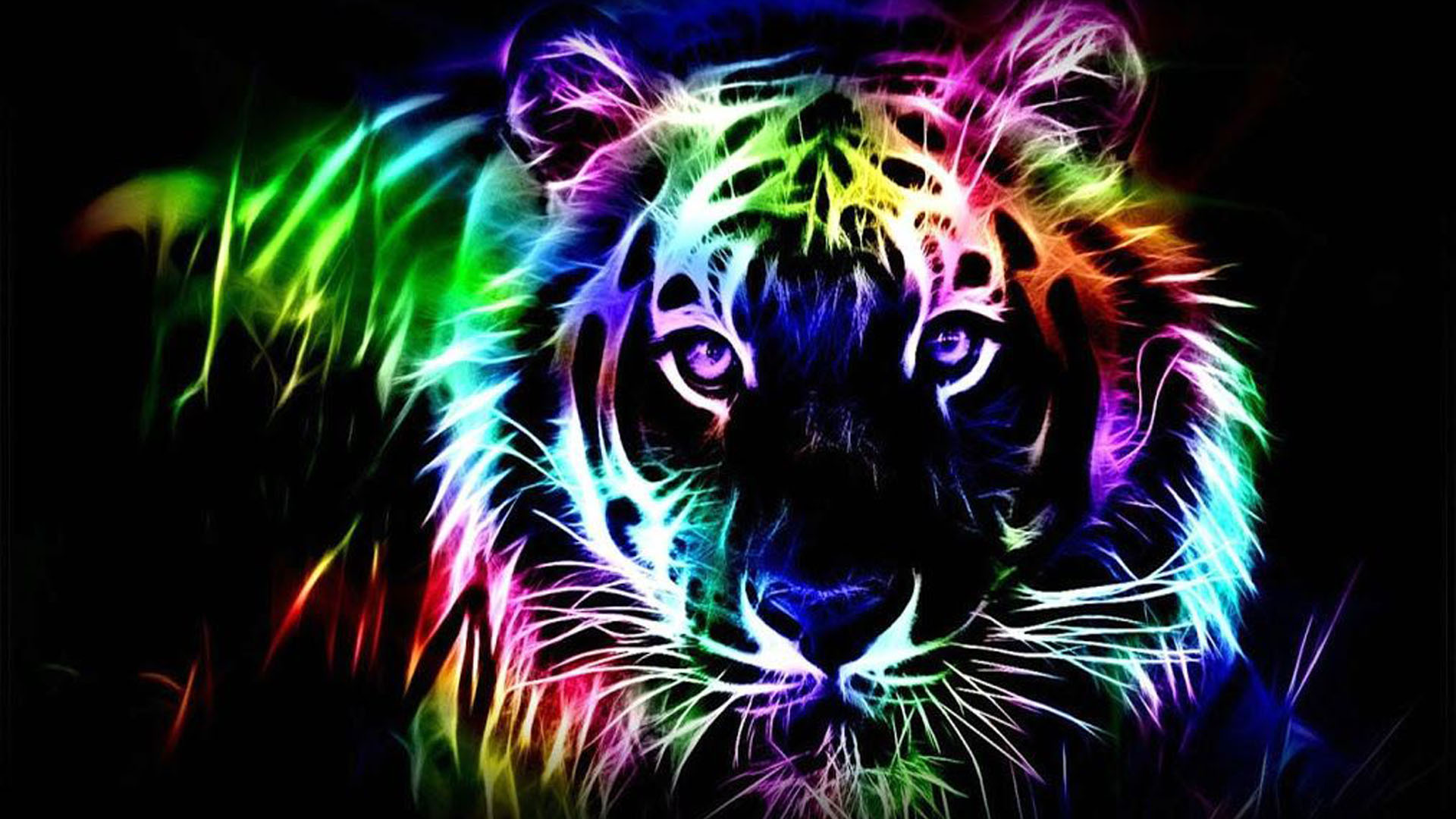 Colorful Neon Tiger Image Black Background HD Neon Wallpaper