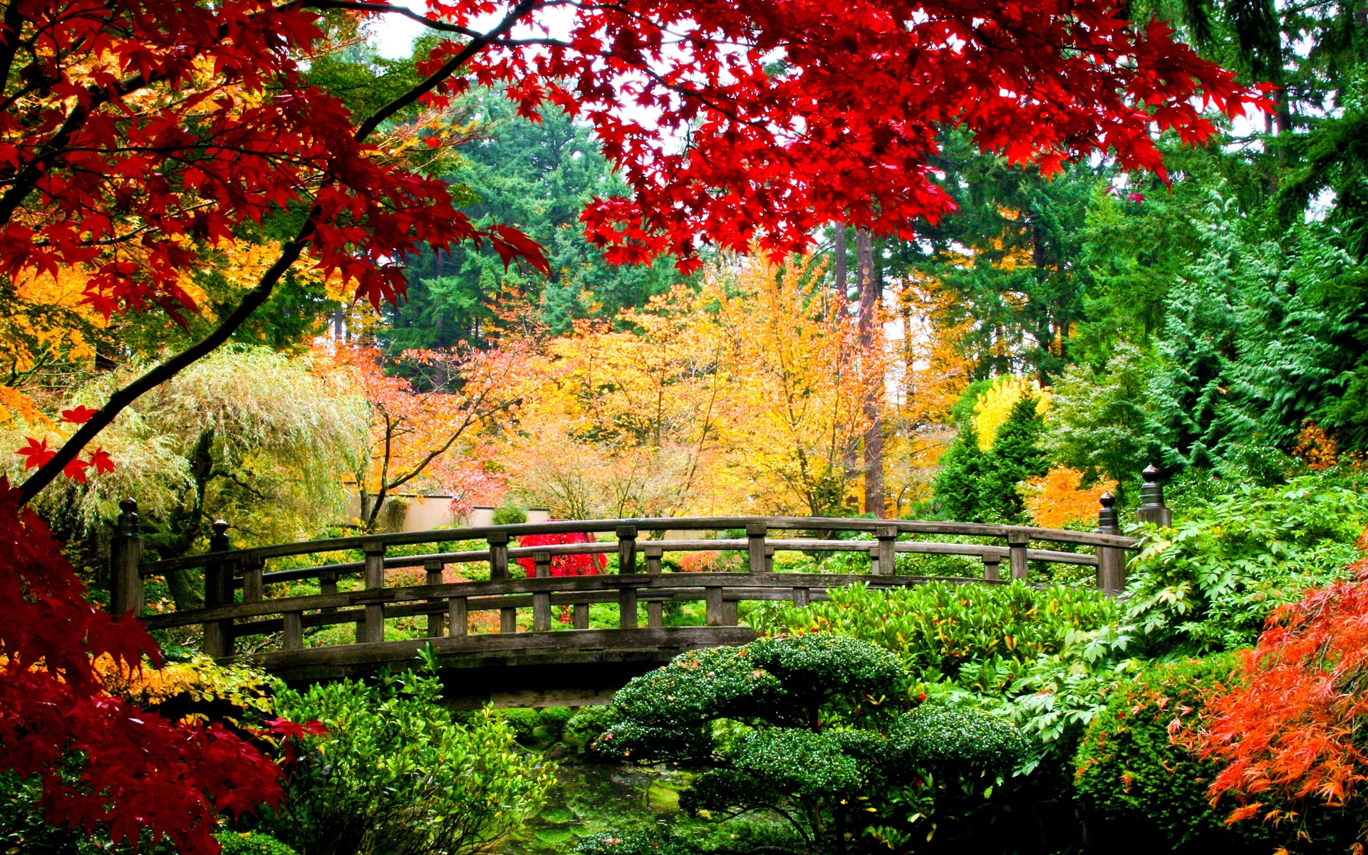 asian garden