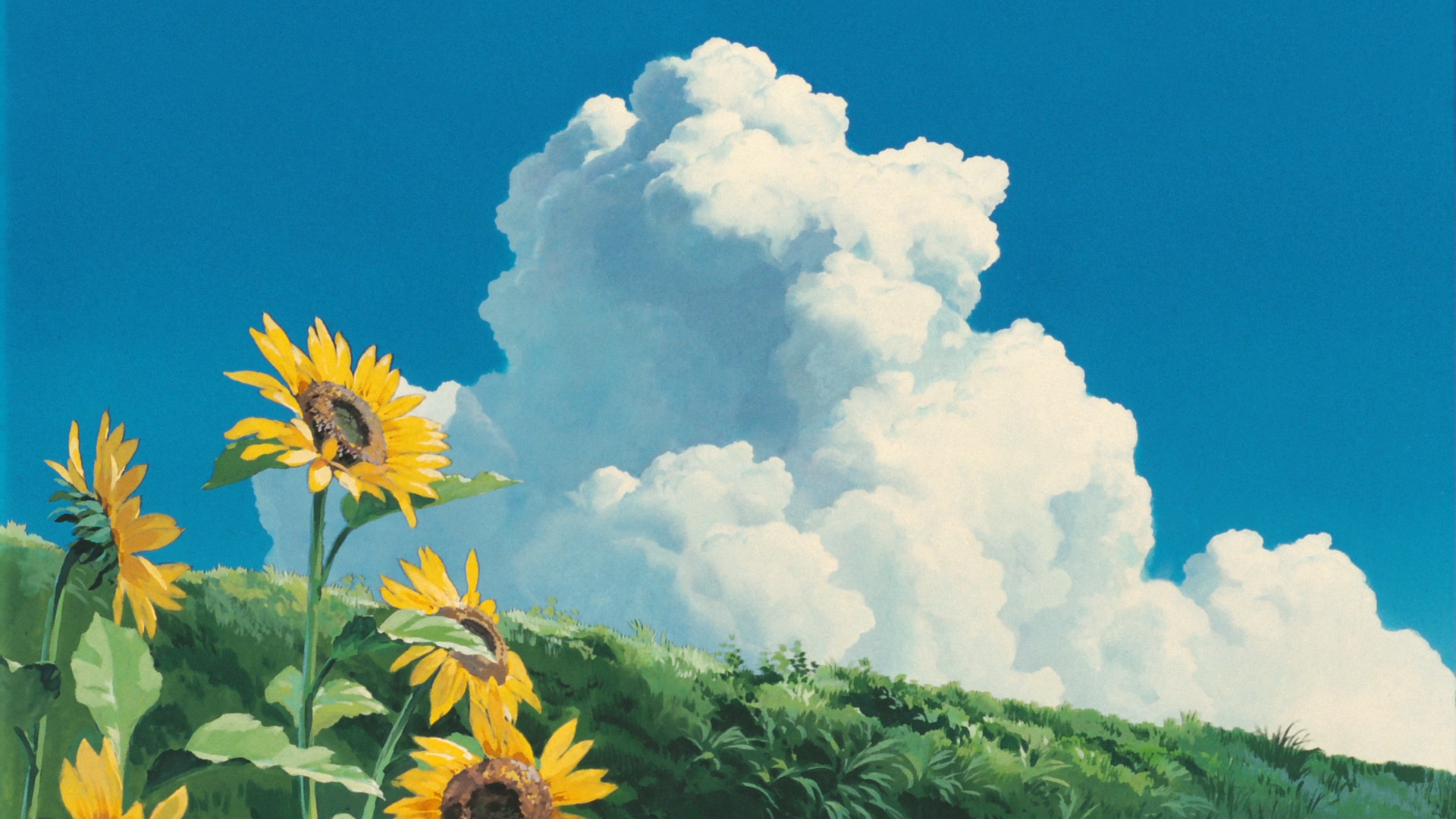 My Neighbor Totoro Sunflowers [1920 x 1080]