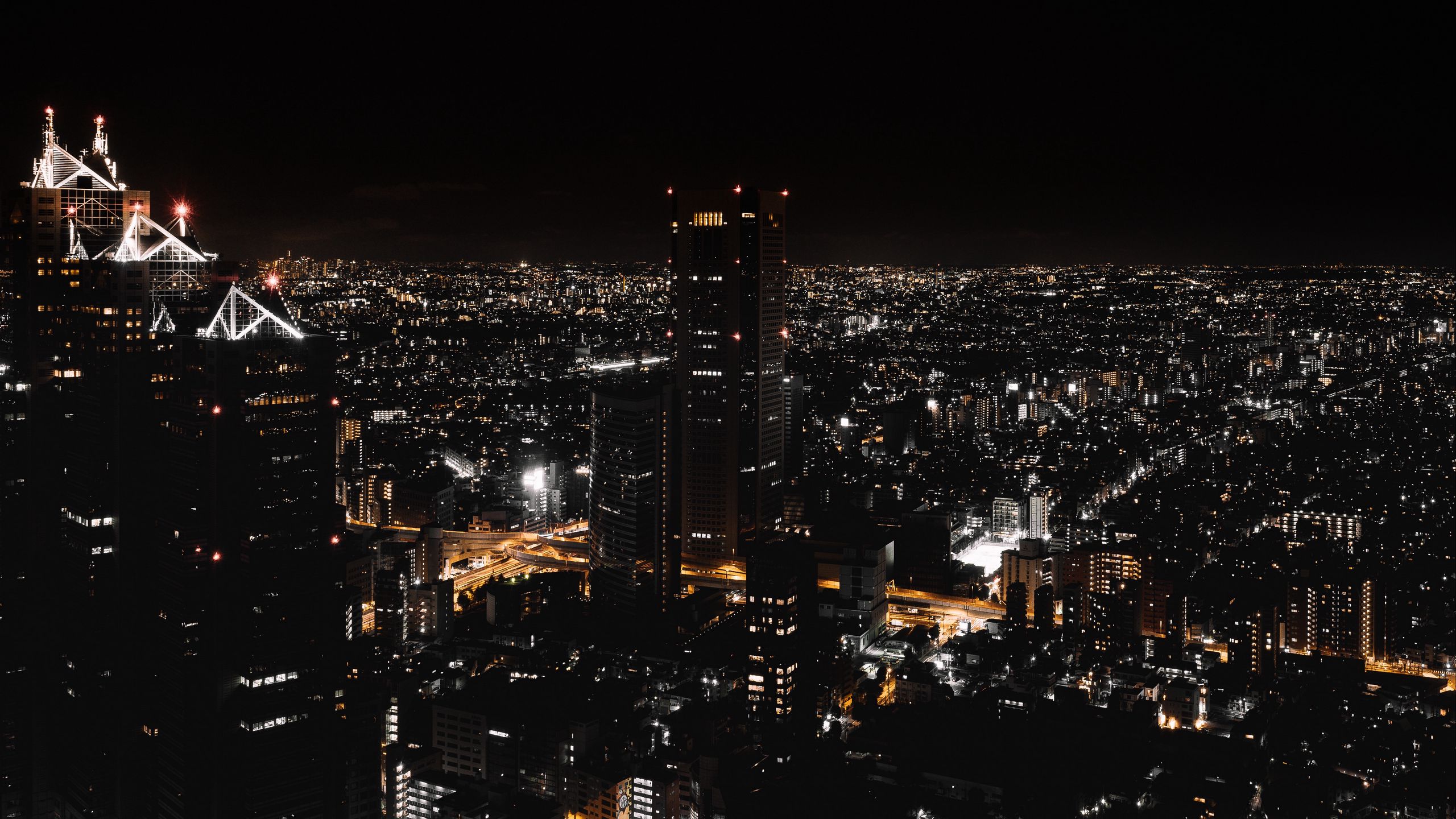 Download wallpaper 2560x1440 night city, view from above, city lights, skyscrapers, tokyo, japan widescreen 16:9 HD background