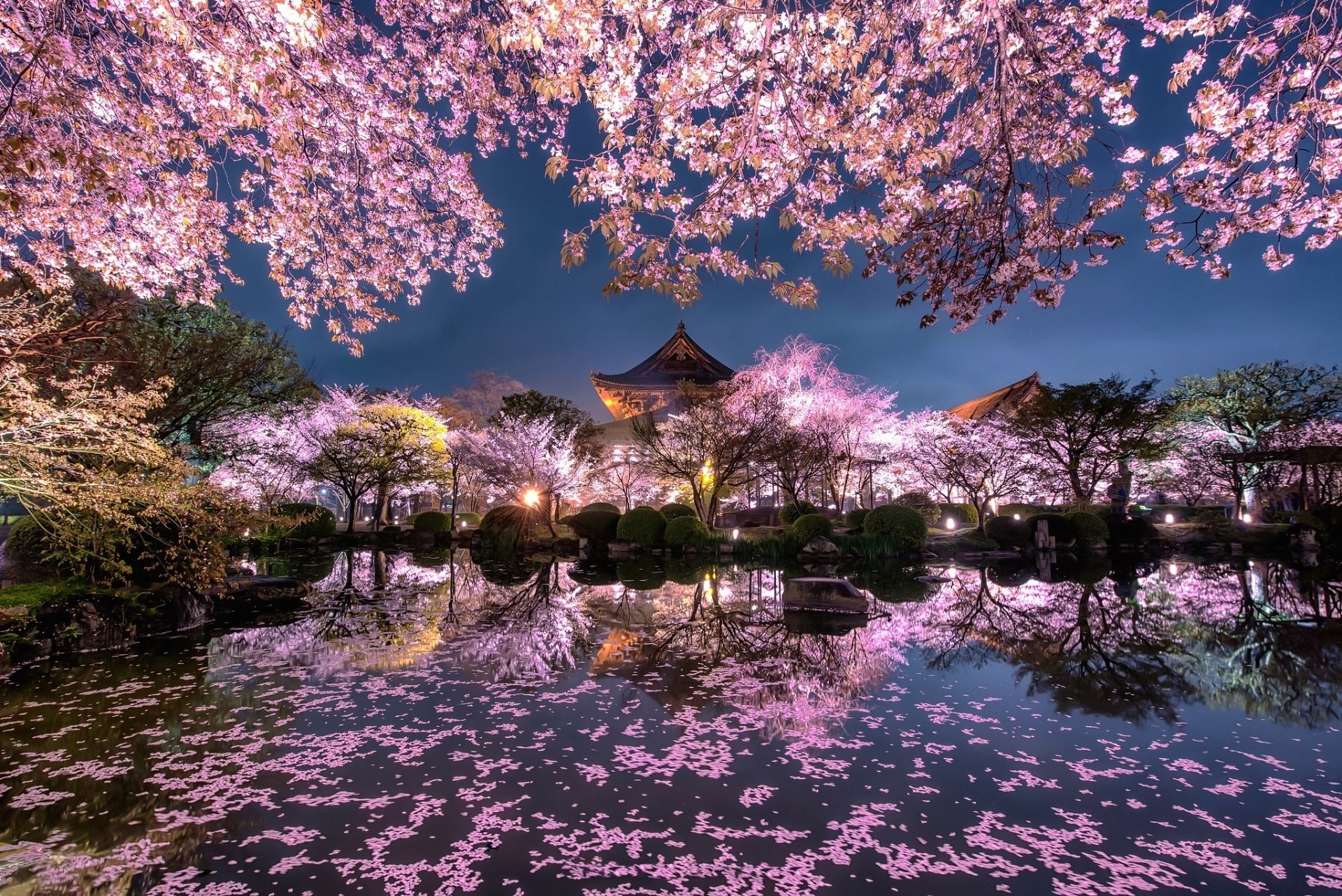 Spring Night in Japan: HD Reflection Wallpaper