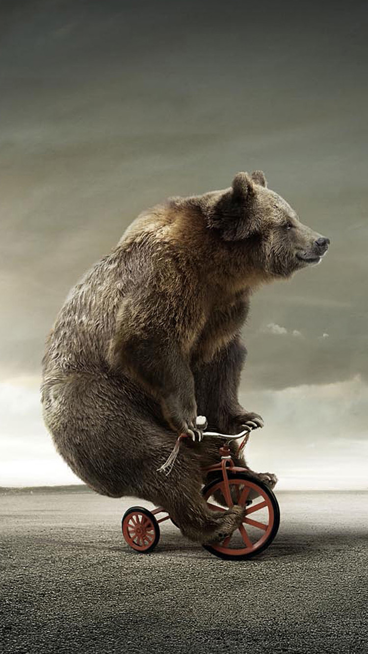 Tricycle Bear Free Download Wallpaper for Phone