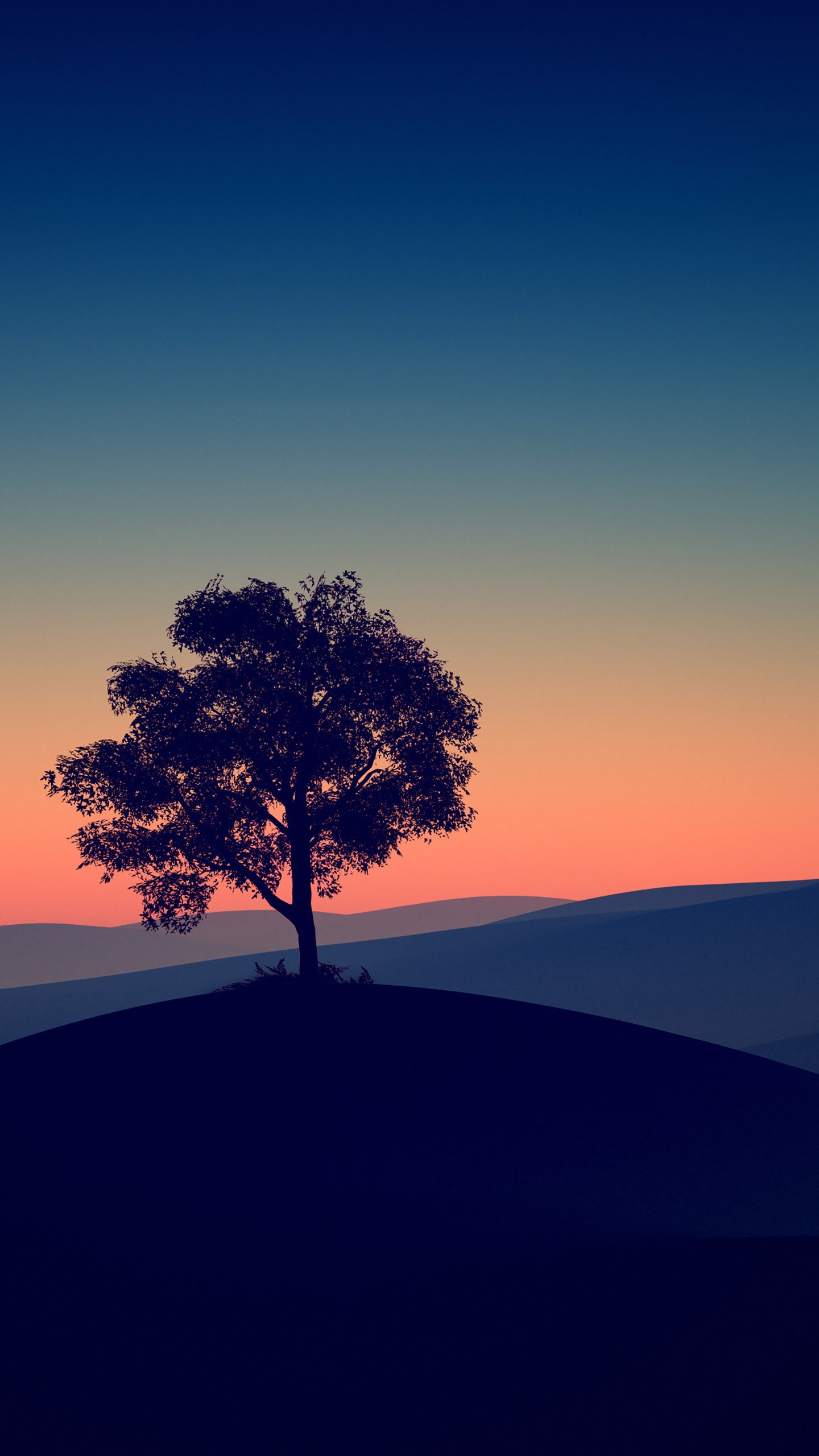 Tree Alone Dark Evening 4K HD Wallpaper