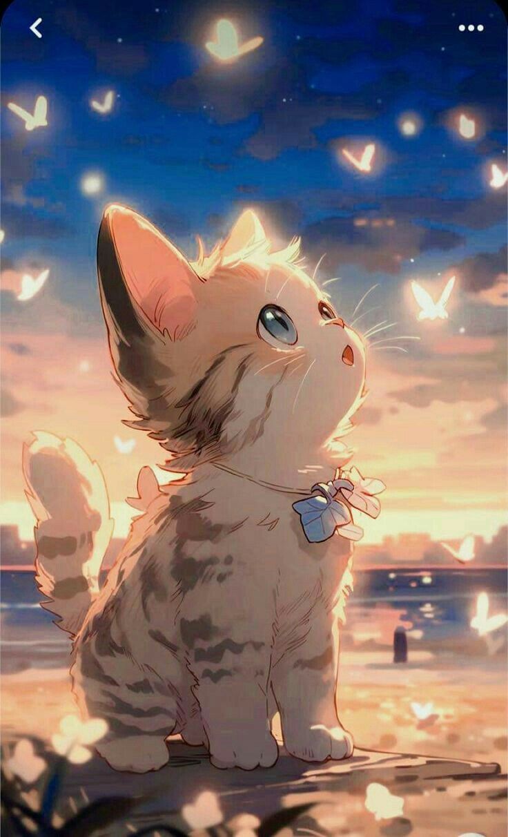 Живность. Cute cat wallpaper, Cat wallpaper, Cute anime cat
